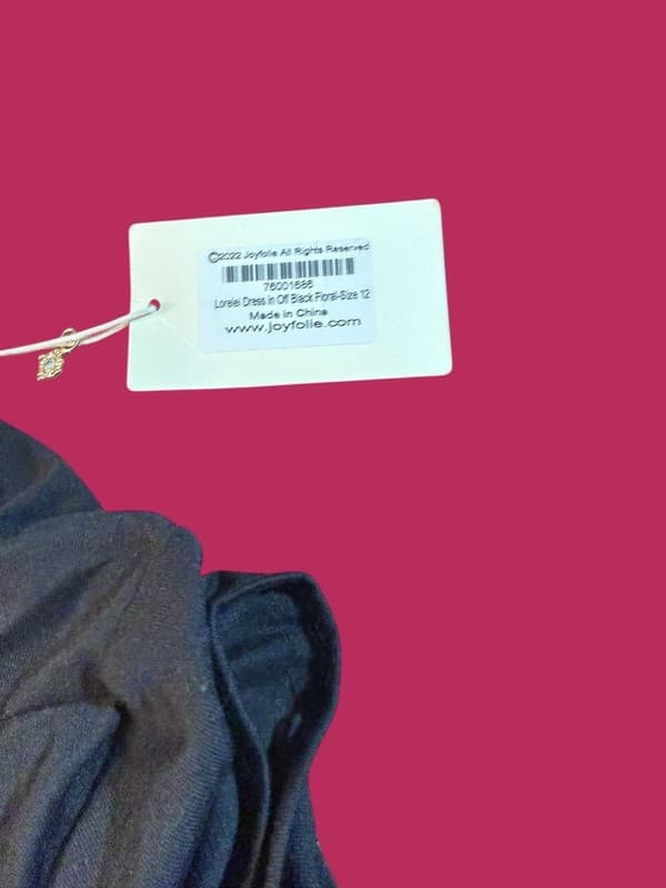 Joyfolie Mia Joy Lorelei High Low Tiered Mesh Dress in Off Black Floral Size 12 - Thumbnail 5