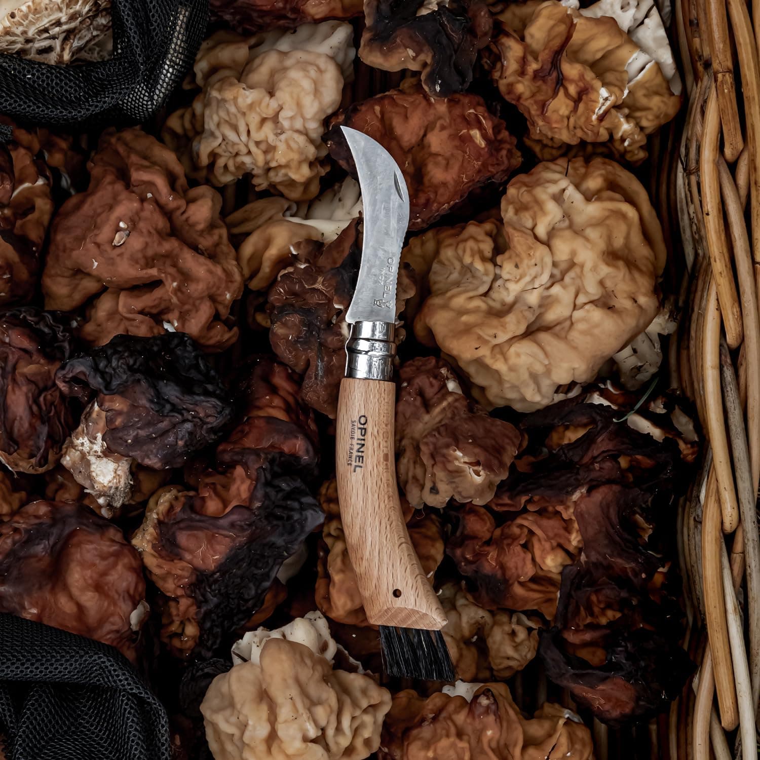 Opinel No. 08 Mushroom Knife - Beechwood Handle, Sandvik Steel, Integrated Brush - Thumbnail 9