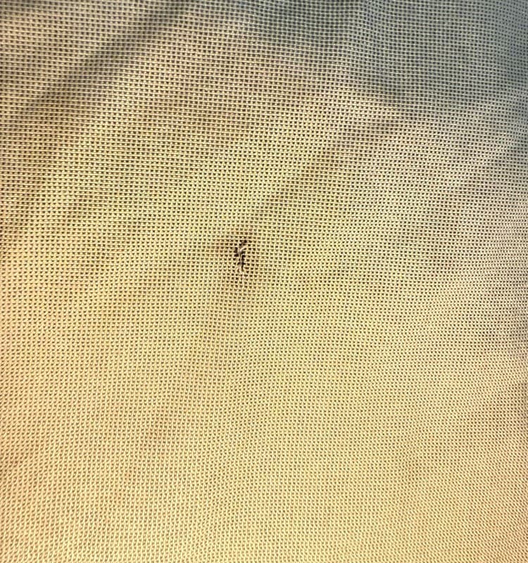 Dickies XL Short Sleeve Work Shirt Khaki Button Up - Thumbnail 4