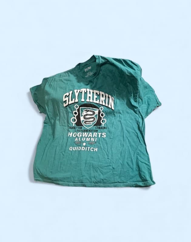 Harry Potter Slytherin Hogwarts Alumni Green T-Shirt - Image 1