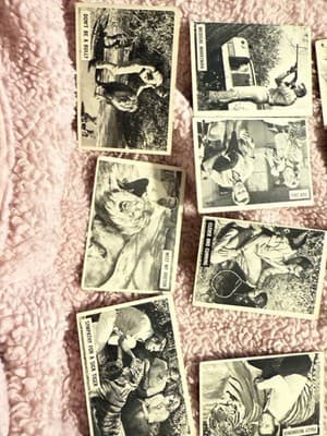 1966 Donruss Daktari TV Show Trading Cards Lot of 11 – Vintage Black & White - Thumbnail 6