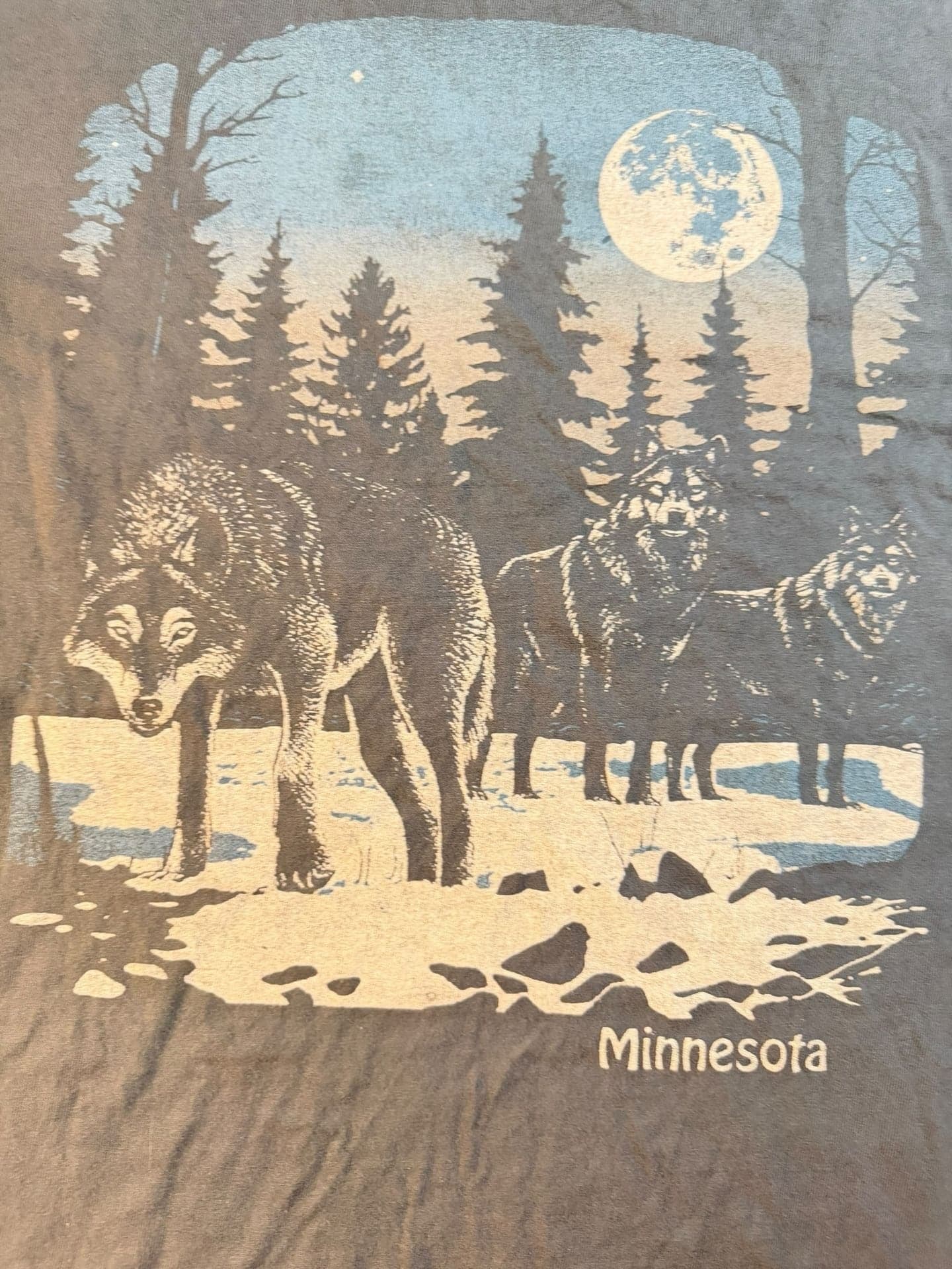 Junk Food Clothing Minnesota Wolves Moon Graphic T-Shirt Medium - Thumbnail 7