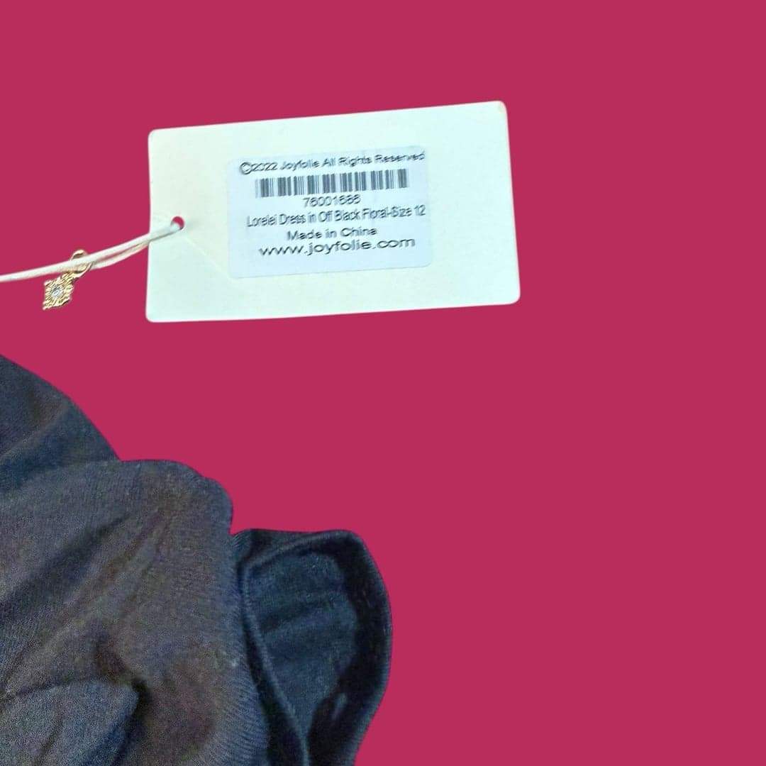Joyfolie Mia Joy Lorelei High Low Tiered Mesh Dress in Off Black Floral Size 12 - Thumbnail 5