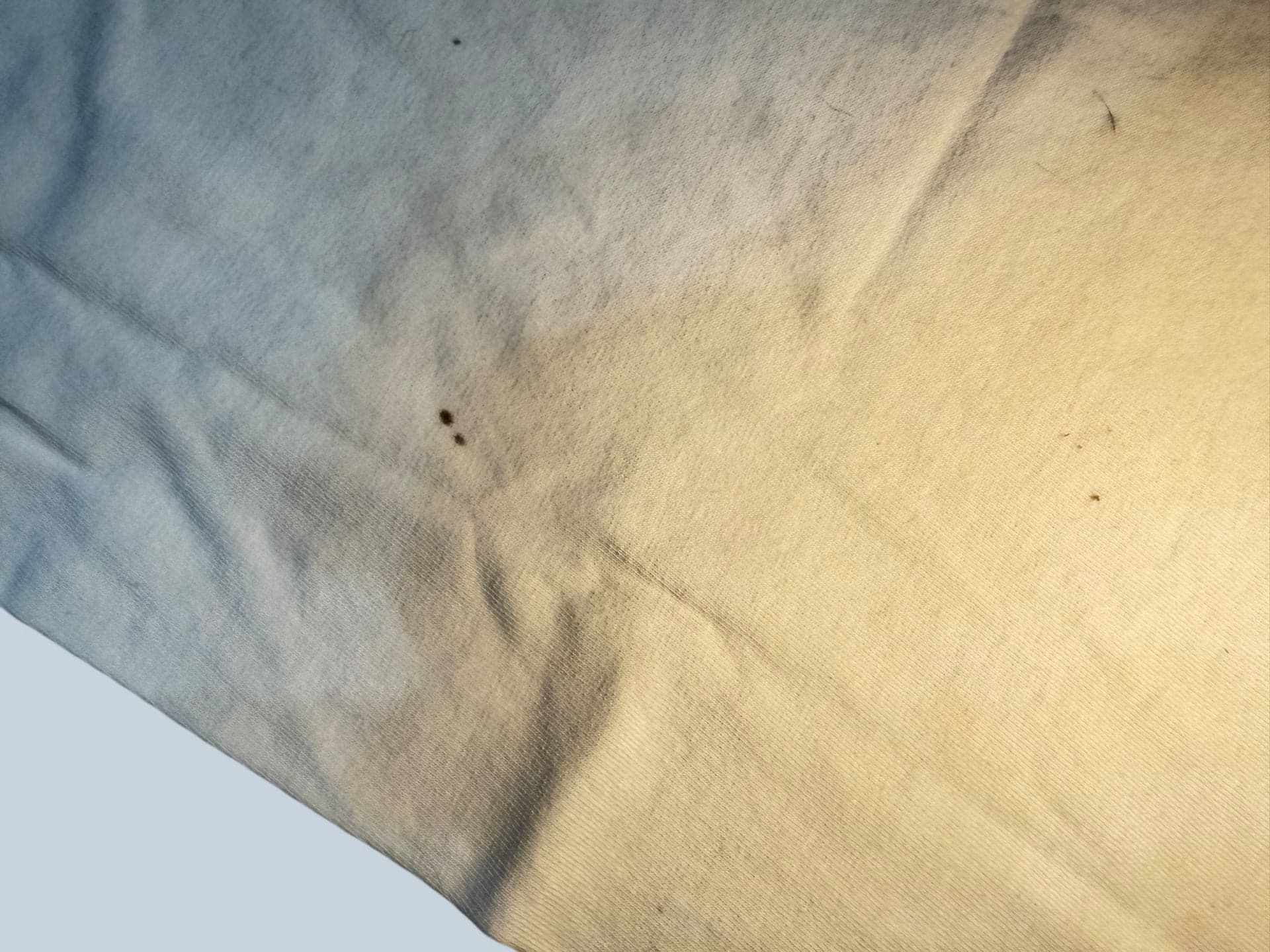 Vintage Harley-Davidson Old Glory Laurel MD Willie G Skull Graphic T-Shirt 2XL - Thumbnail 10