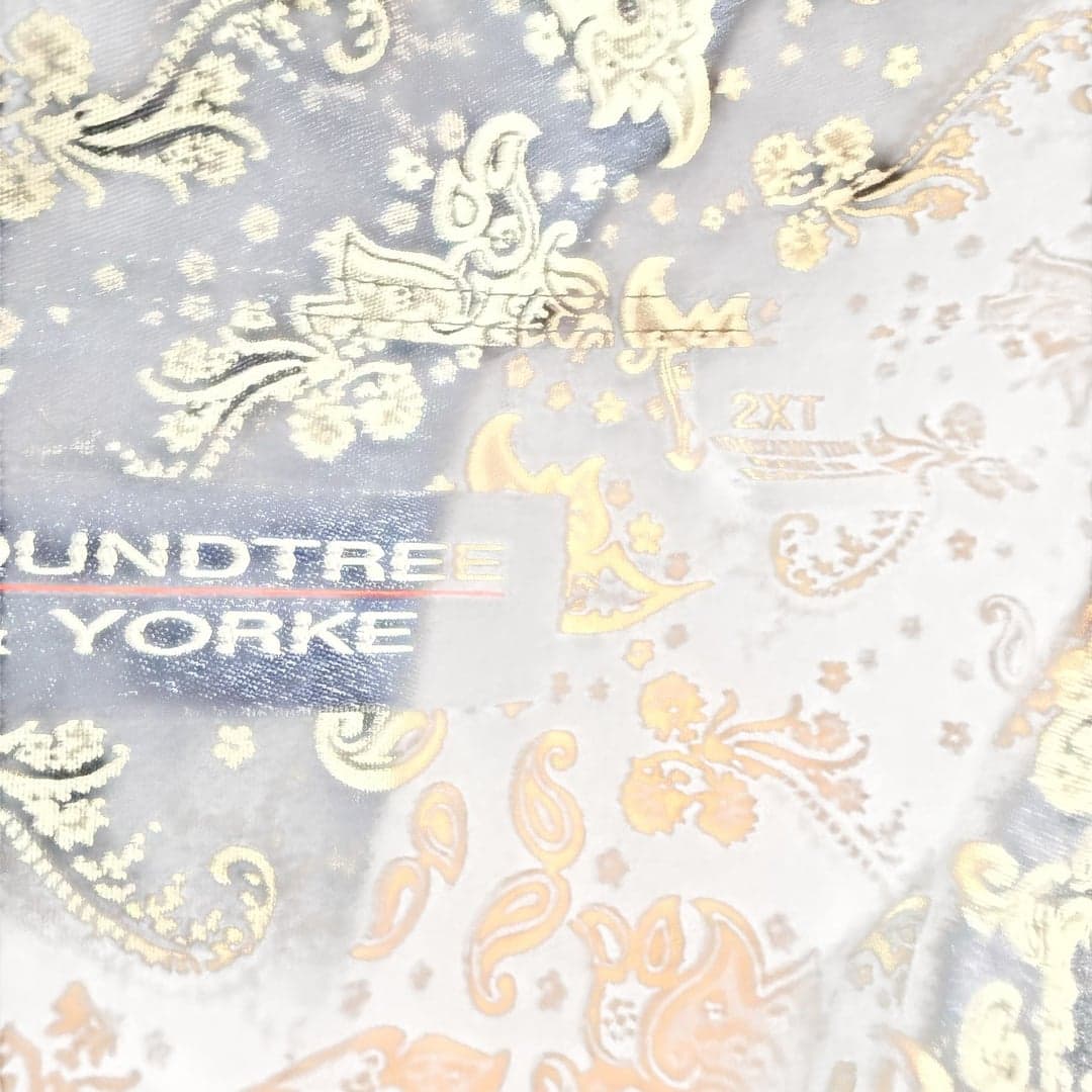 Roundtree & Yorke Men’s Paisley Button Down Shirt 2XT Big Tall Long Sleeve - Thumbnail 3