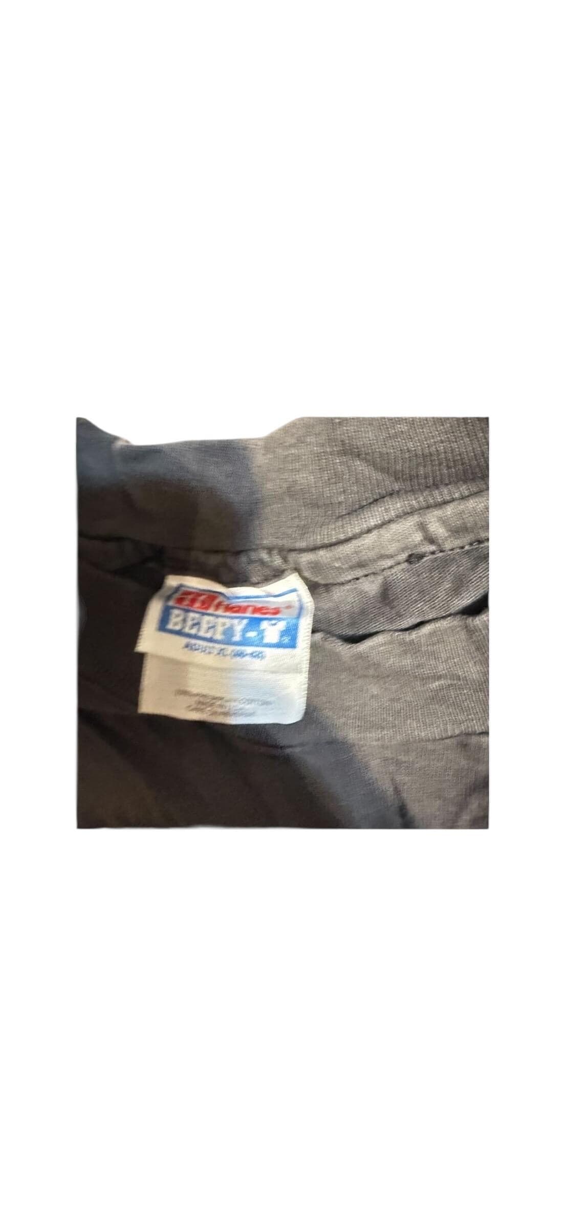 Vintage Tultex Chilkat Bald Eagle Preserve Alaska T-Shirt - Thumbnail 6