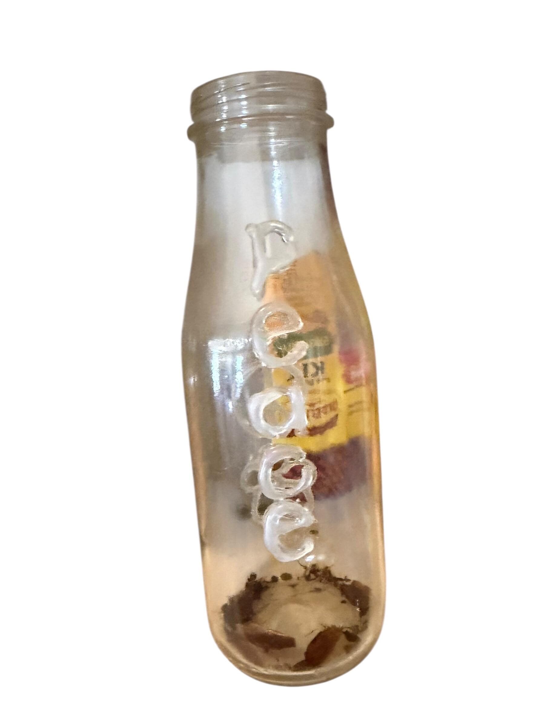 Antique PCO Embossed Glass Olive Oil Bottle Early 1900s Rustic Kitchen Decor - Image 1