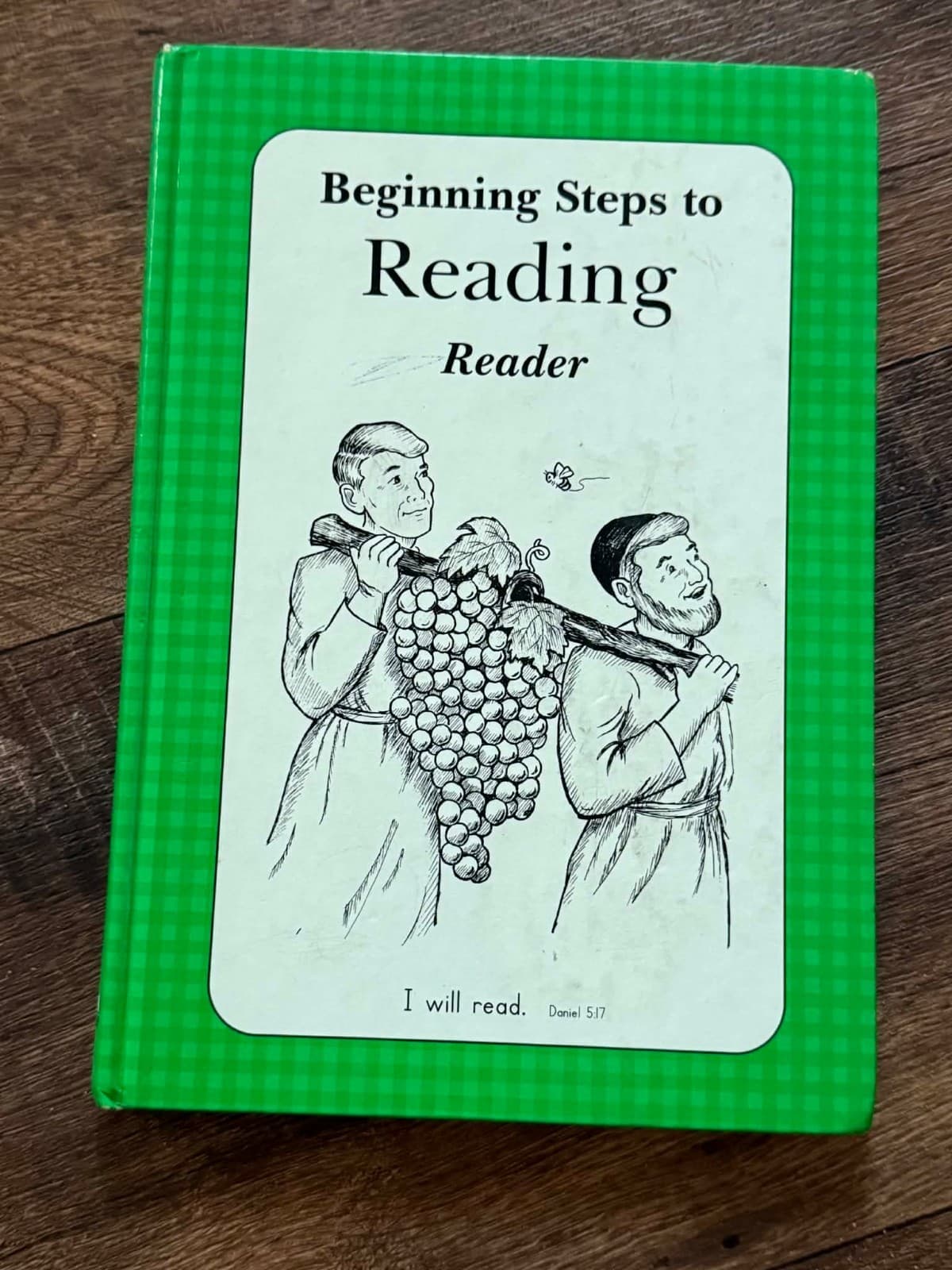 Beginning Steps to Reading, Reader - Acceptable - See condition notes
