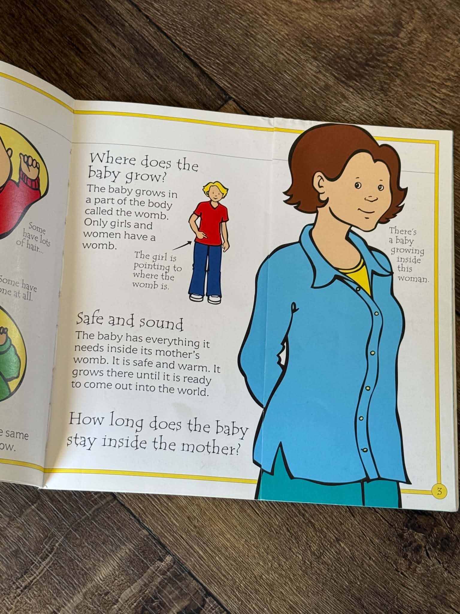 How Are Babies Made? - Thumbnail 2