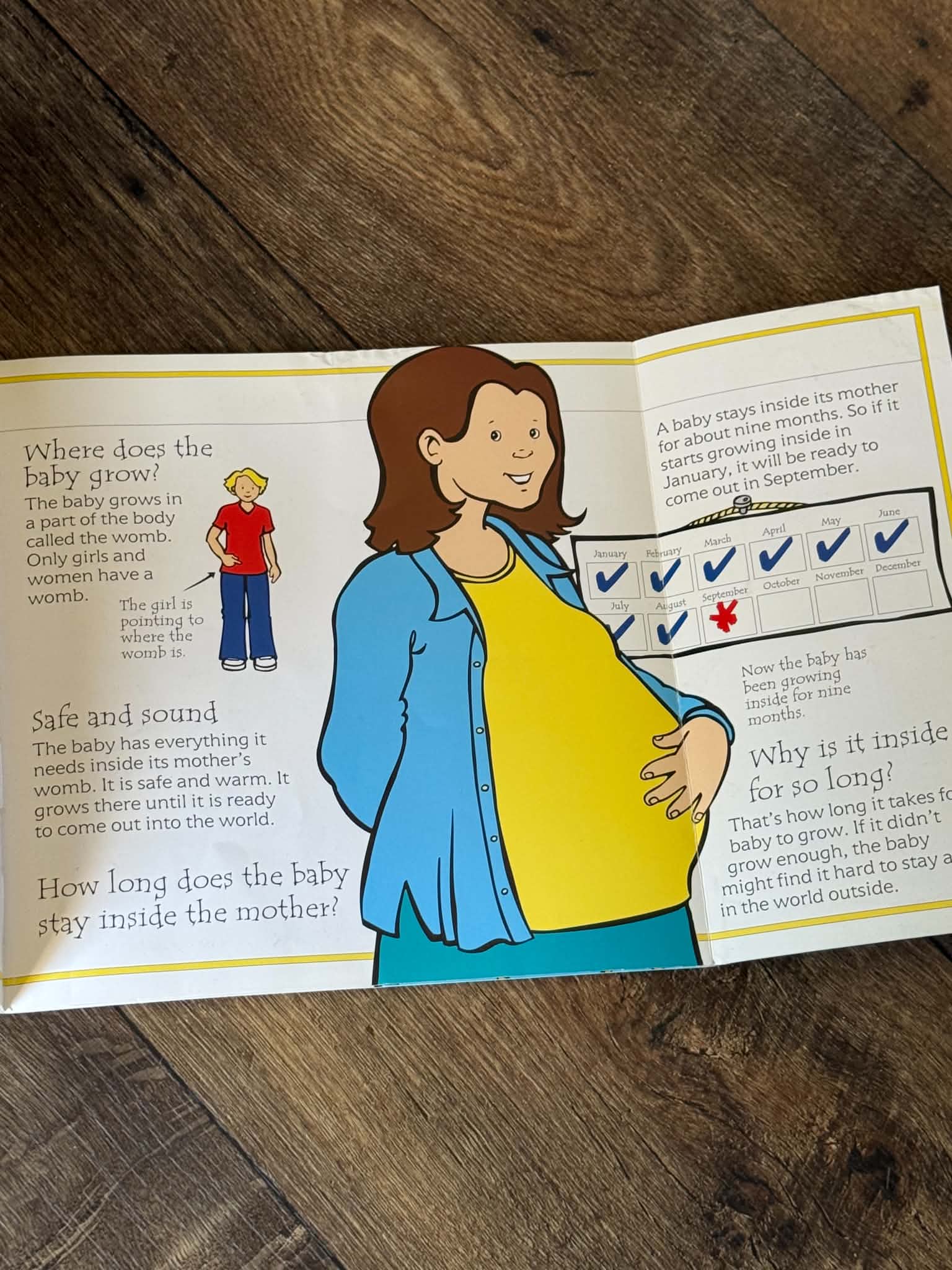 How Are Babies Made? - Thumbnail 3