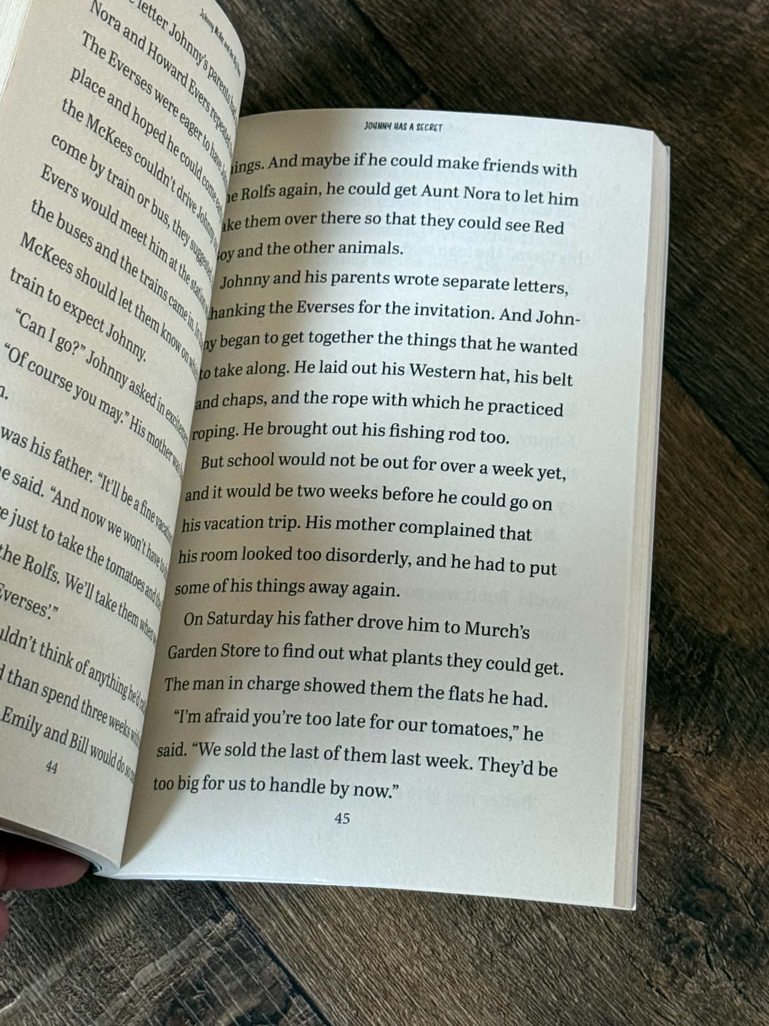 Johnny McKee and the Big Flood - Thumbnail 2