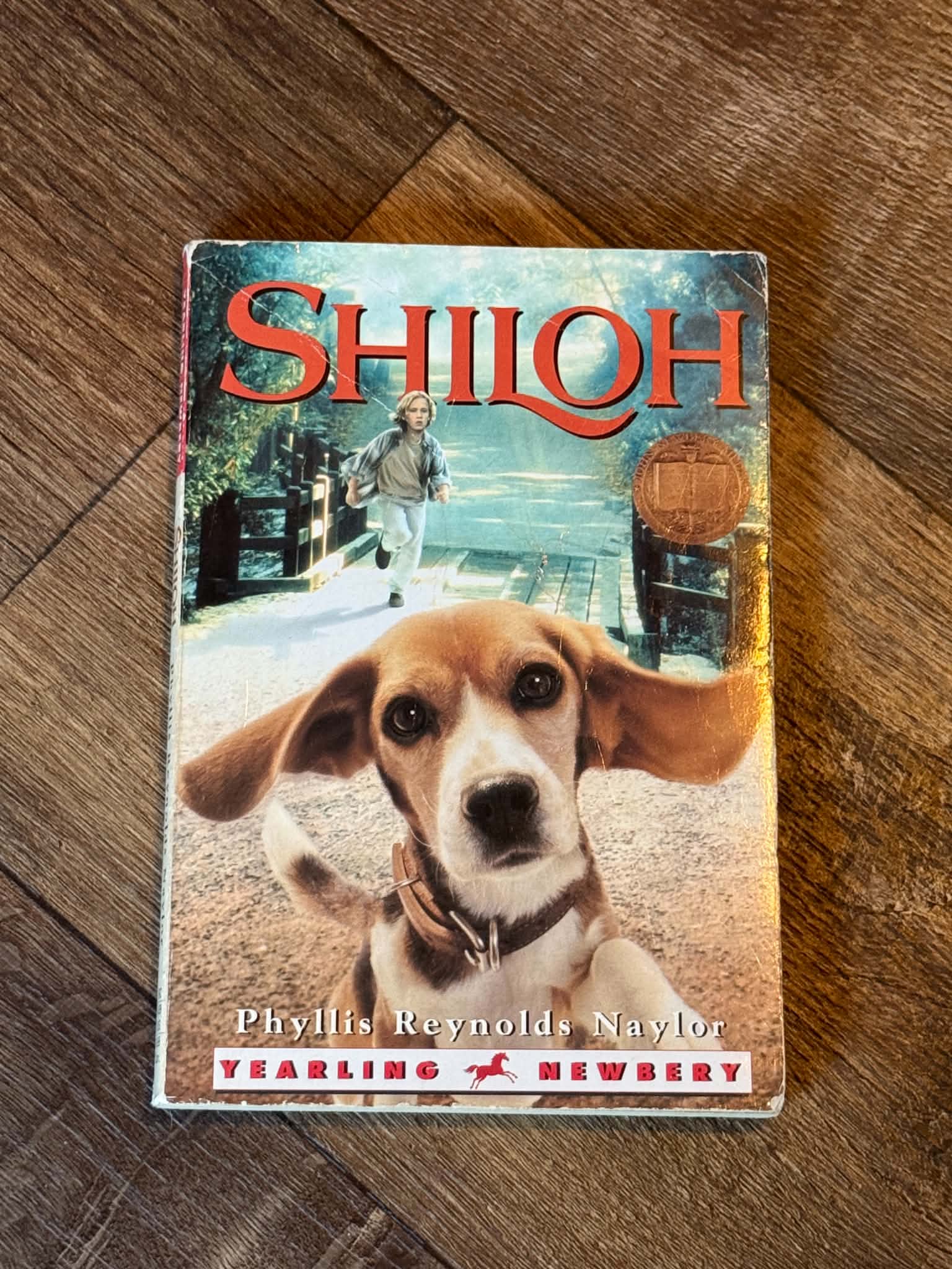 Shiloh - Image 1