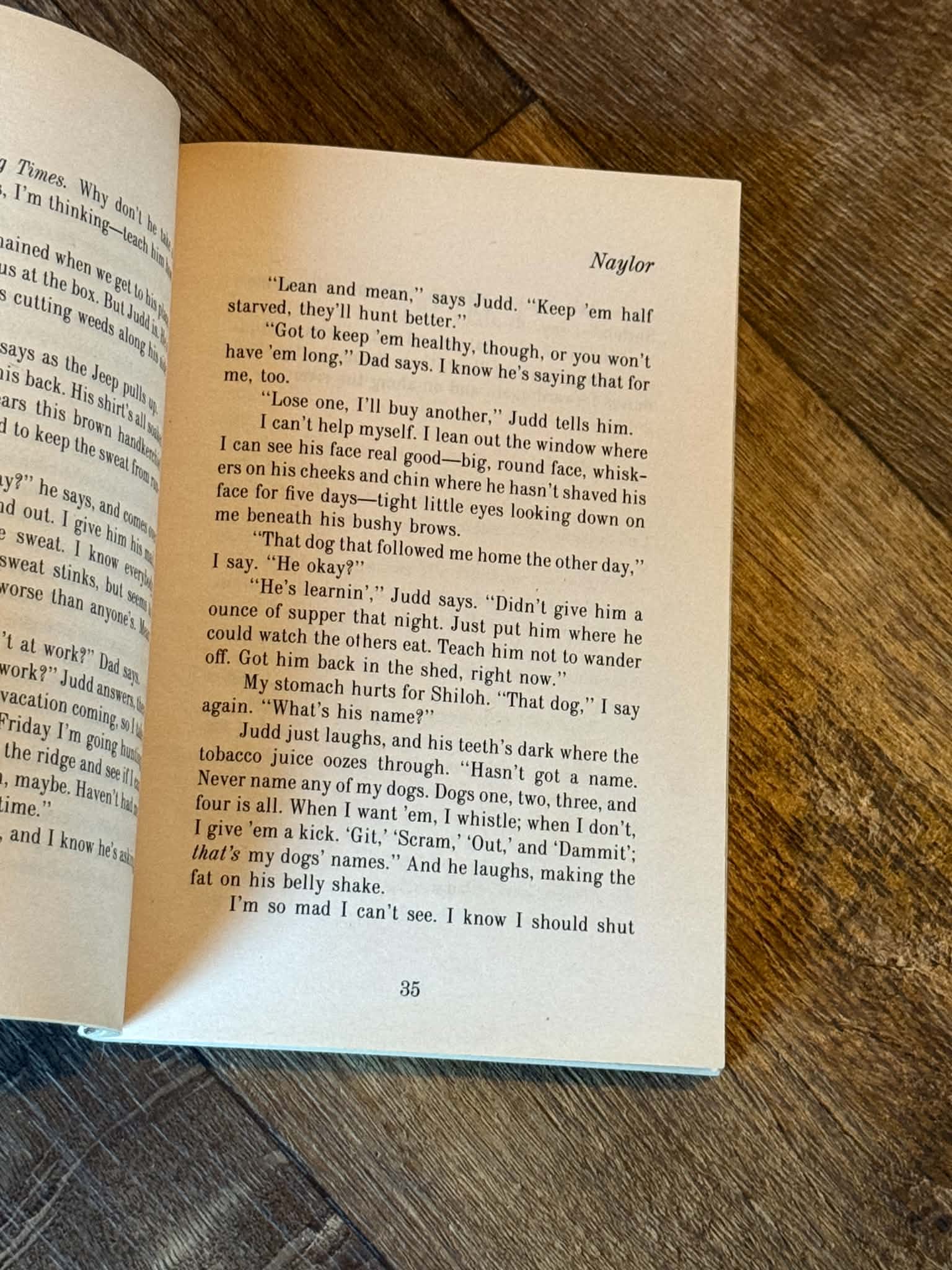 Shiloh - Thumbnail 2