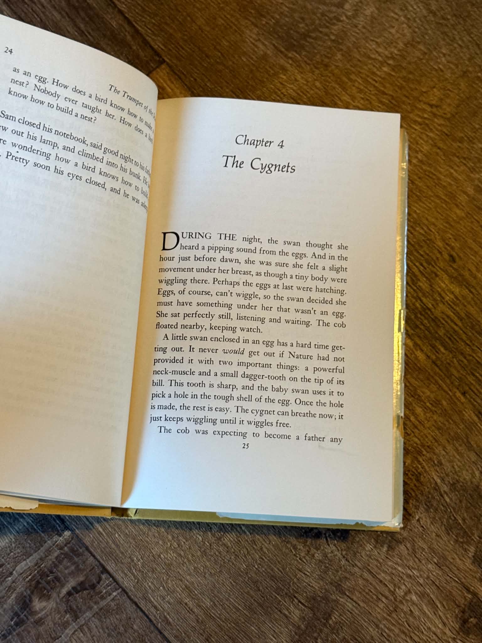 The Trumpet of the Swan - Thumbnail 2