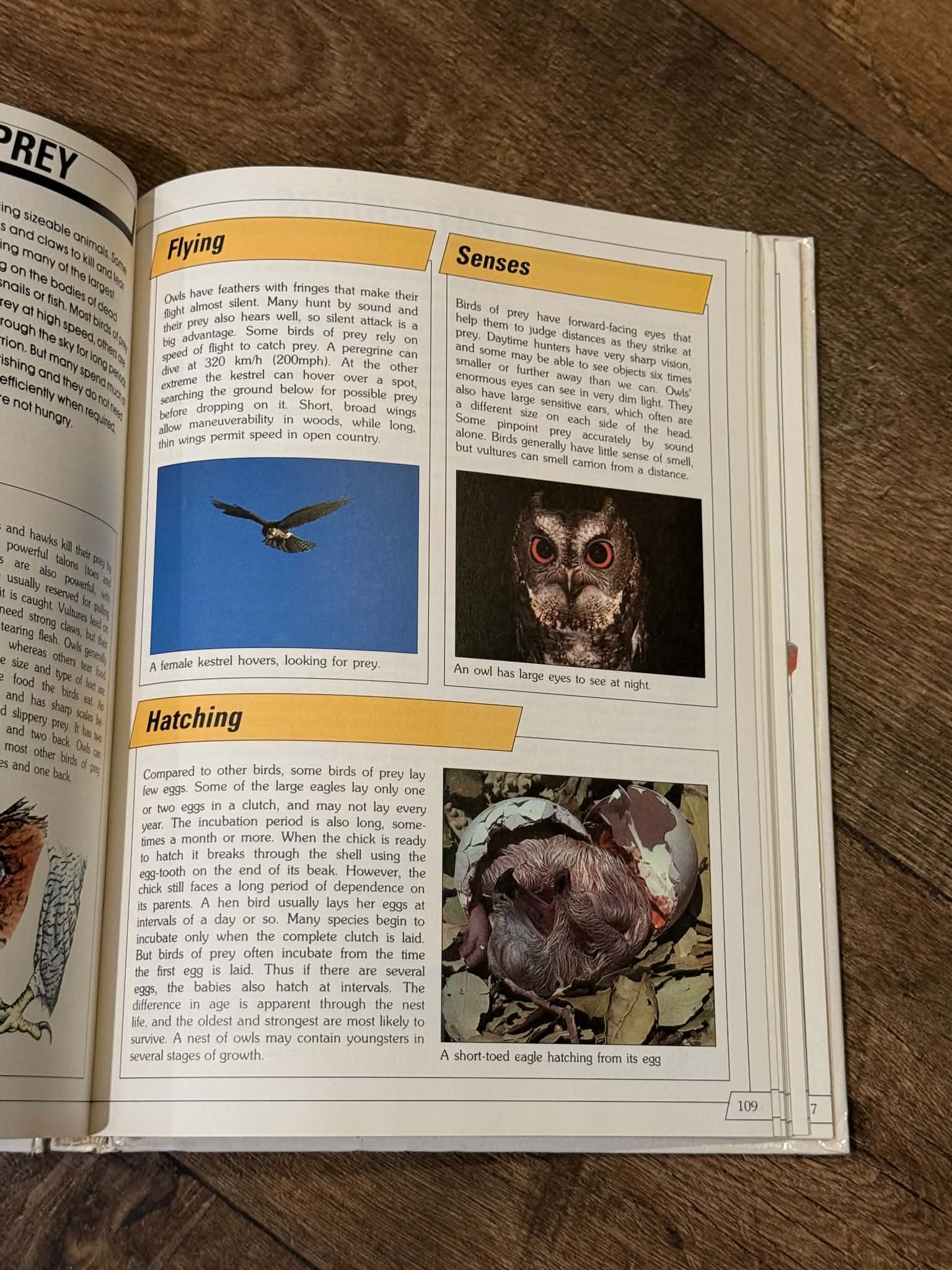 The Book of Natural History - Thumbnail 4