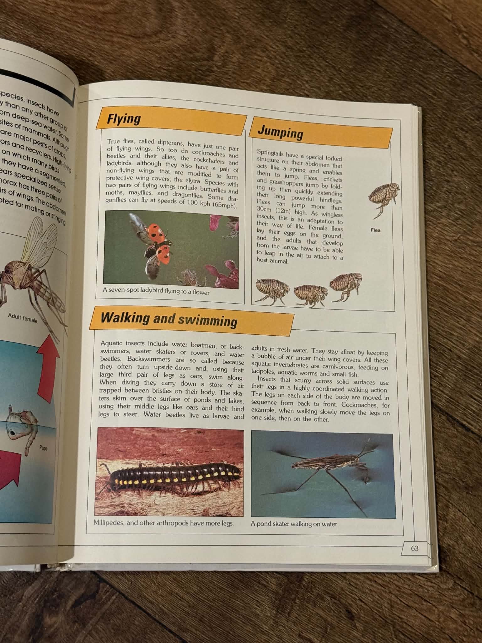 The Book of Natural History - Thumbnail 5