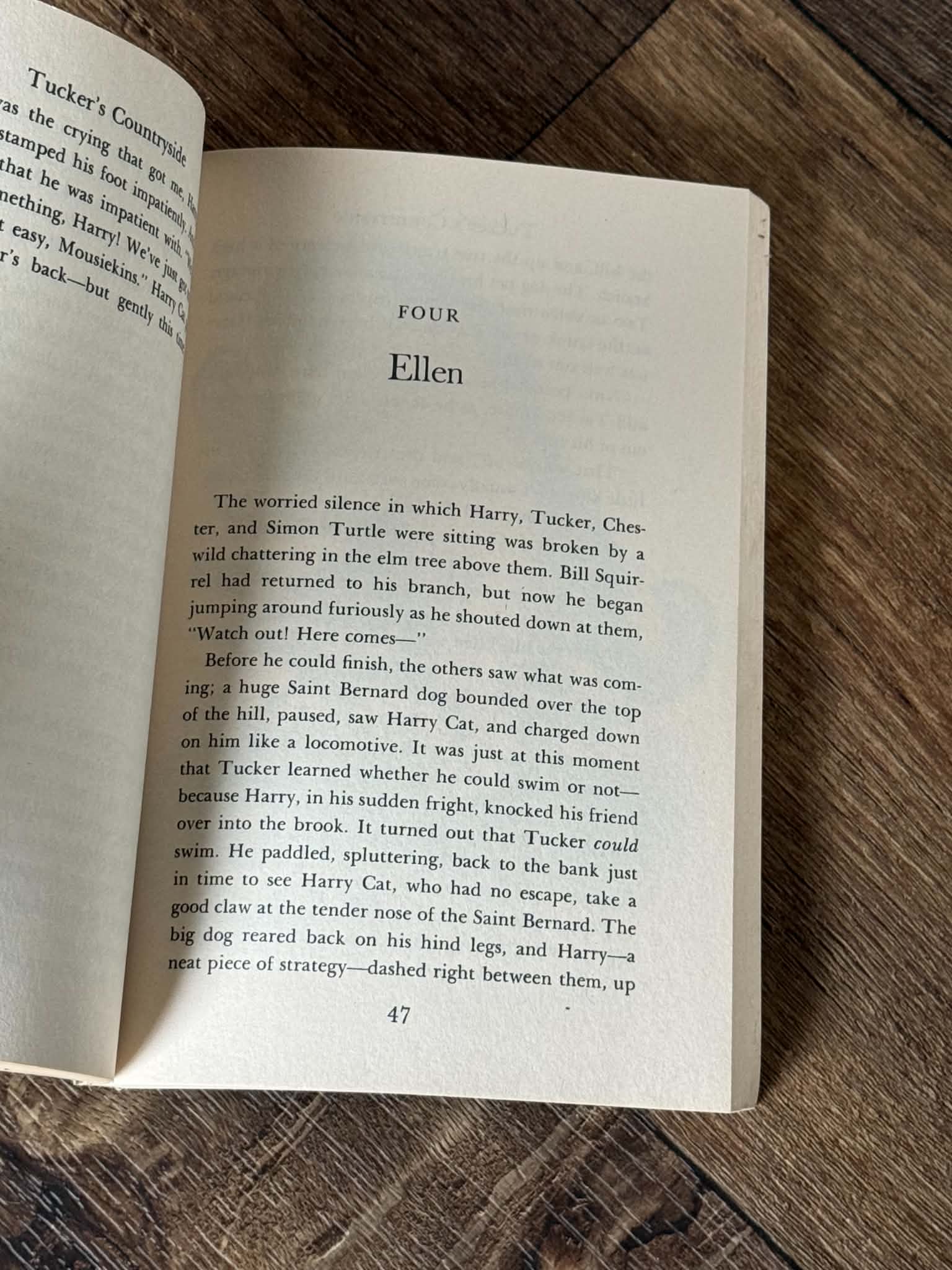 Tucker's Countryside by George Selden - Thumbnail 2