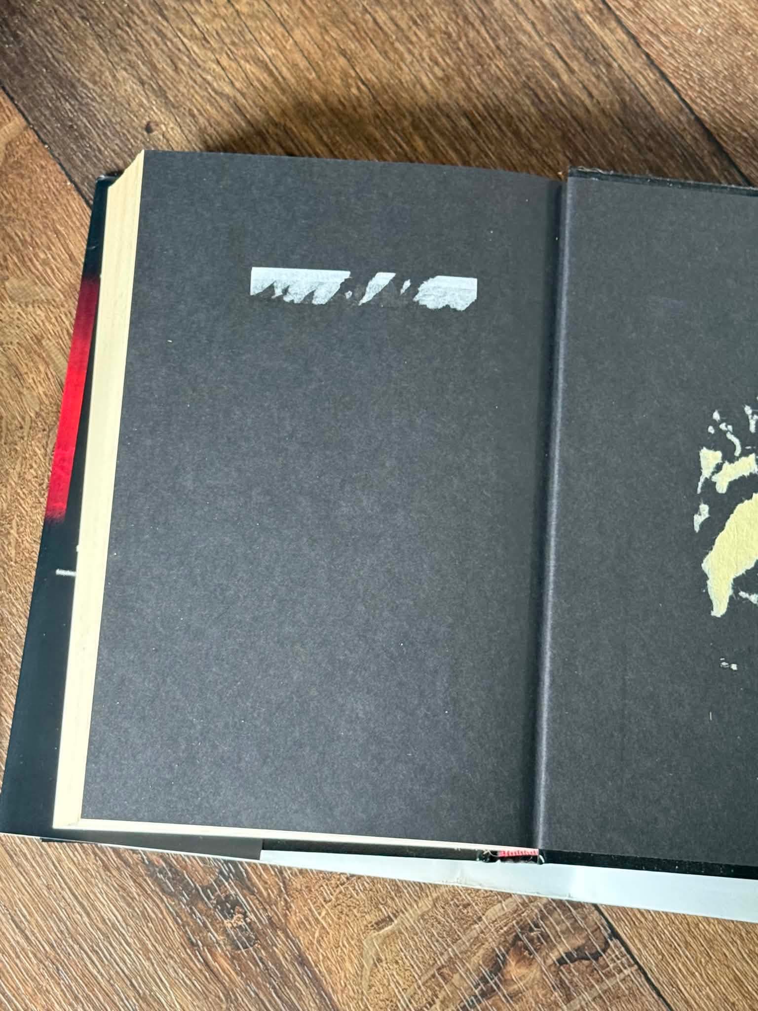 Armageddon: The Cosmic Battle of the Ages by LaHaye & Jenkins - Thumbnail 4