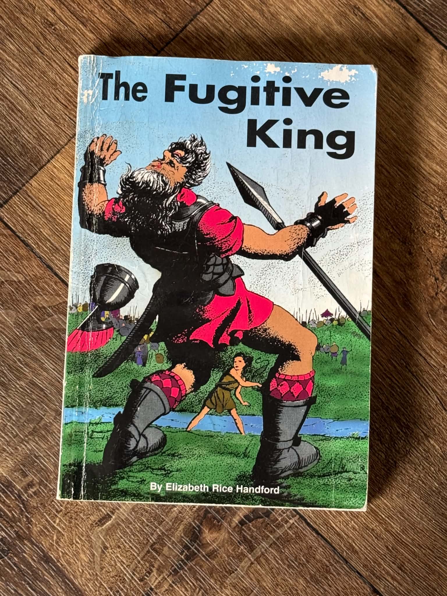 The Fugitive King by Elizabeth Rice Handford - Image 1