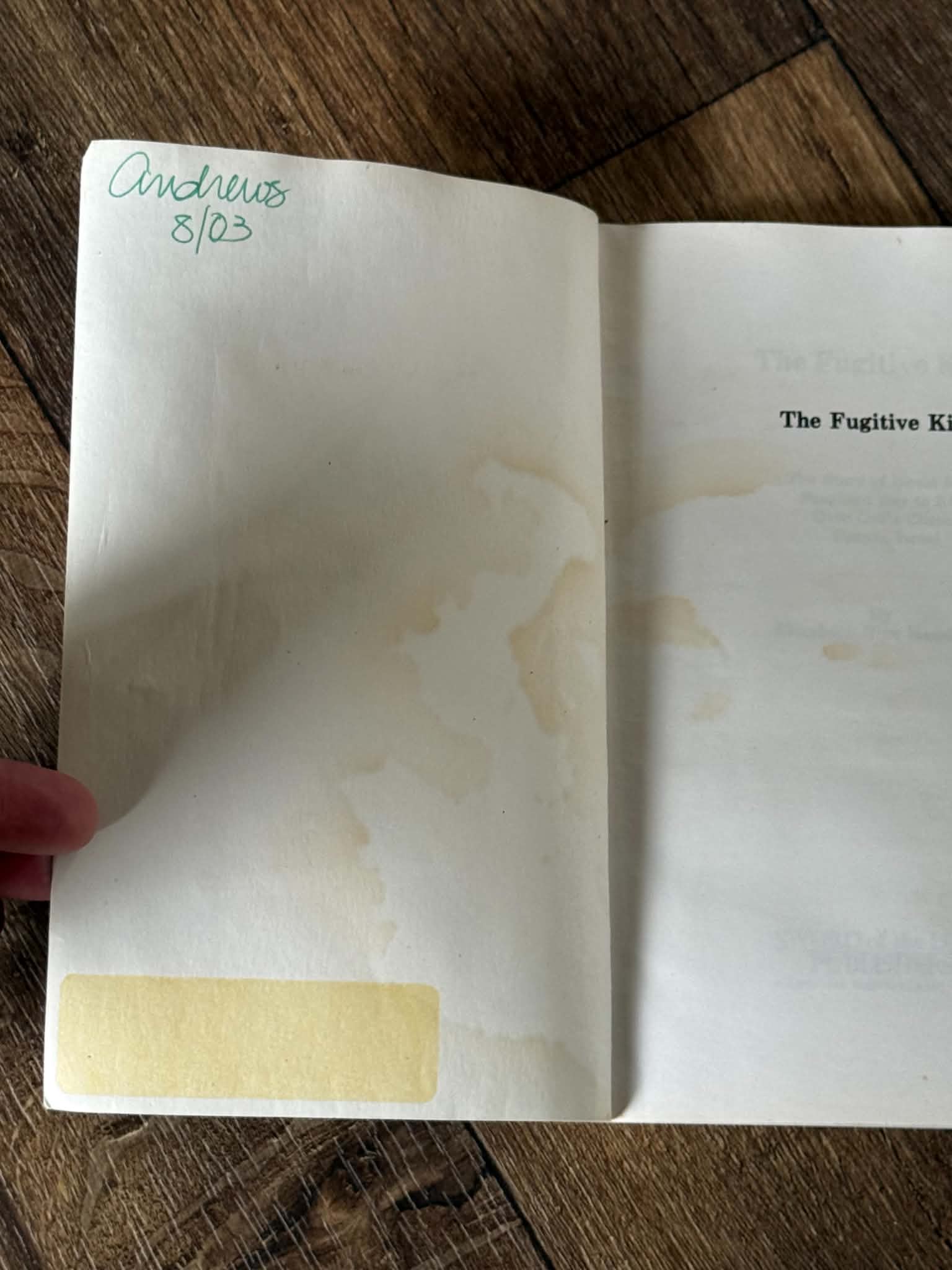 The Fugitive King by Elizabeth Rice Handford - Thumbnail 2