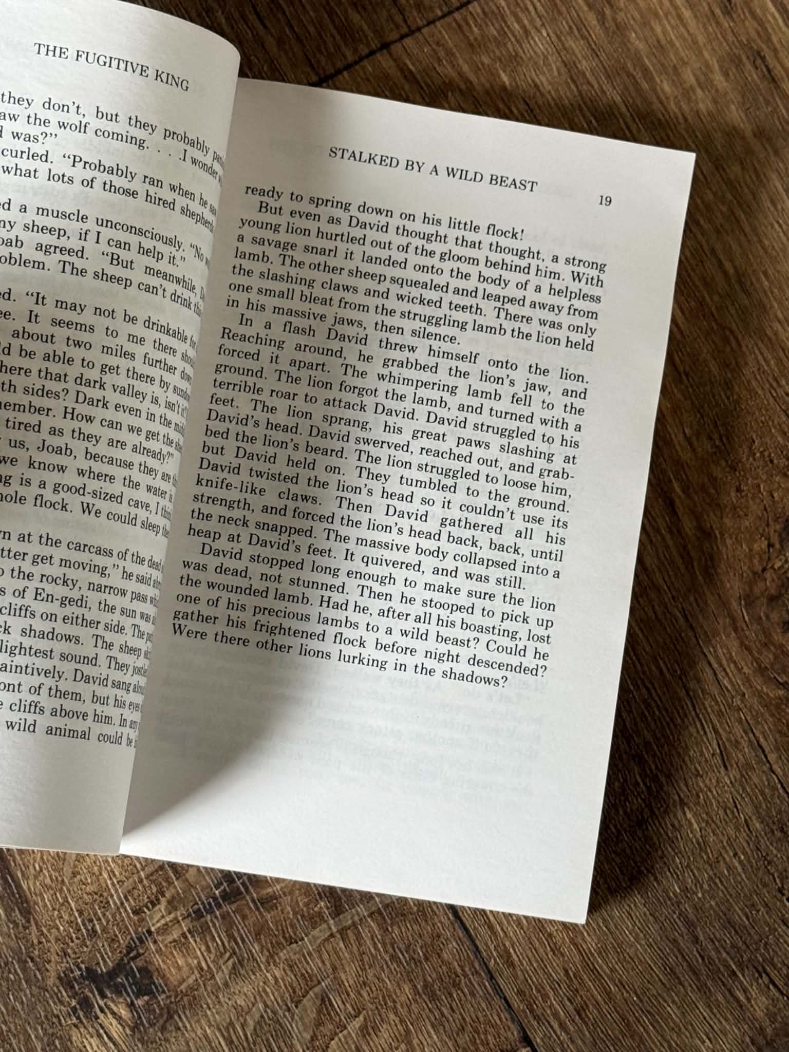 The Fugitive King by Elizabeth Rice Handford - Thumbnail 3