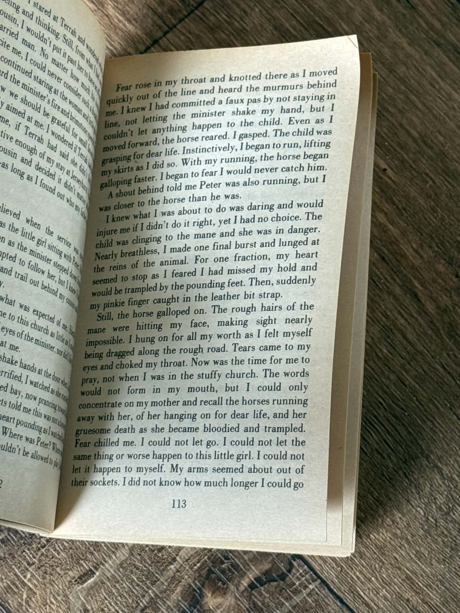 The Bloodstone Inheritance by Serita Deborah Stevens - Thumbnail 2