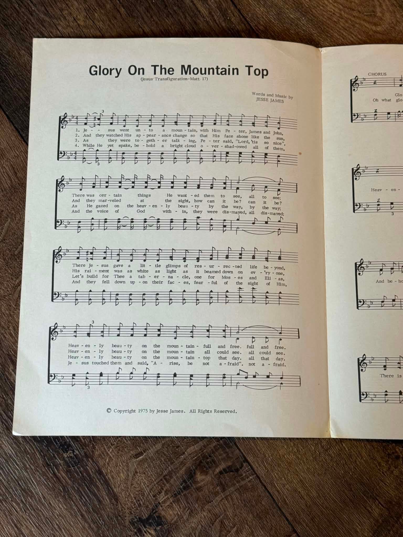 Glory On The Mountain Top Jesus' Transfiguration - Thumbnail 2