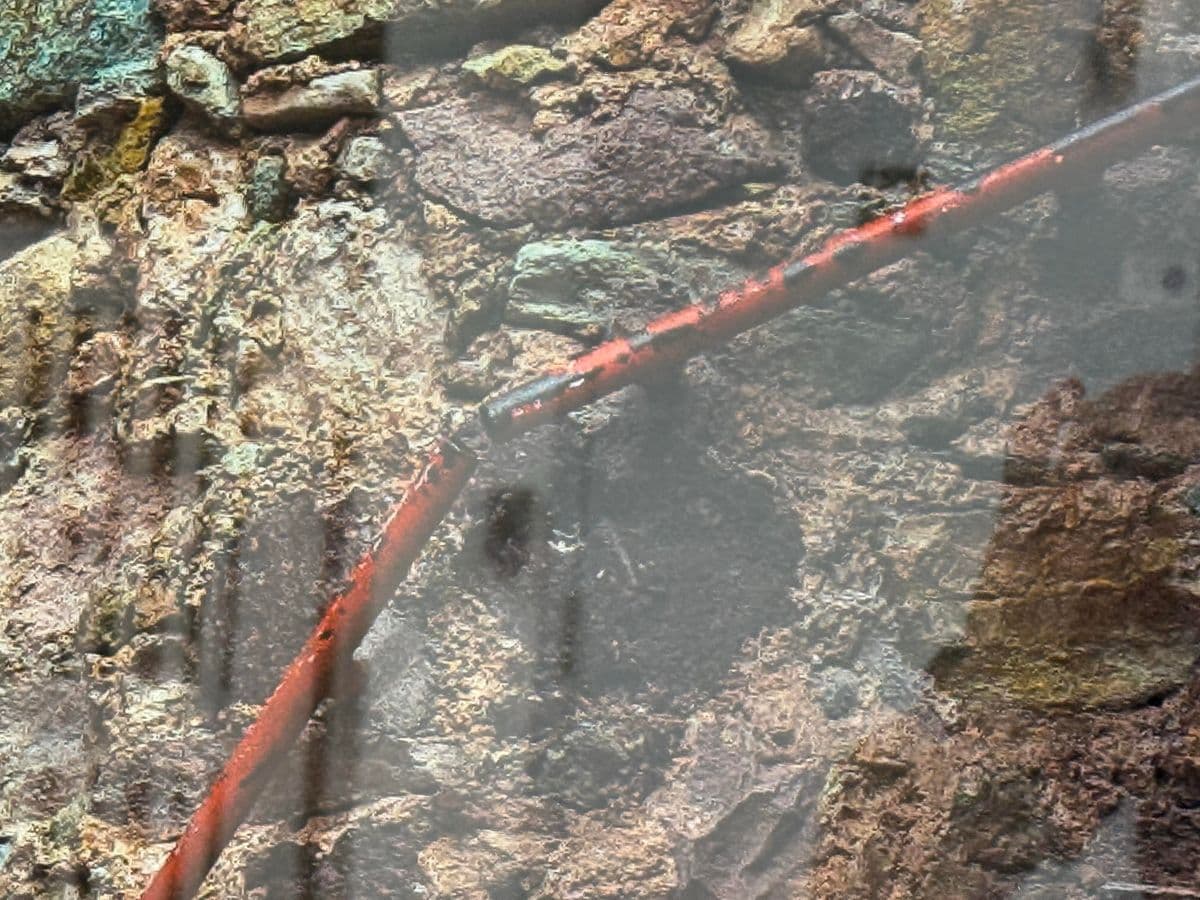 Circa 2009 Ravi Anand "Secret Stairs, Guanajuato Mexico" Framed Photograph Edition 1 of 10 - Thumbnail 6