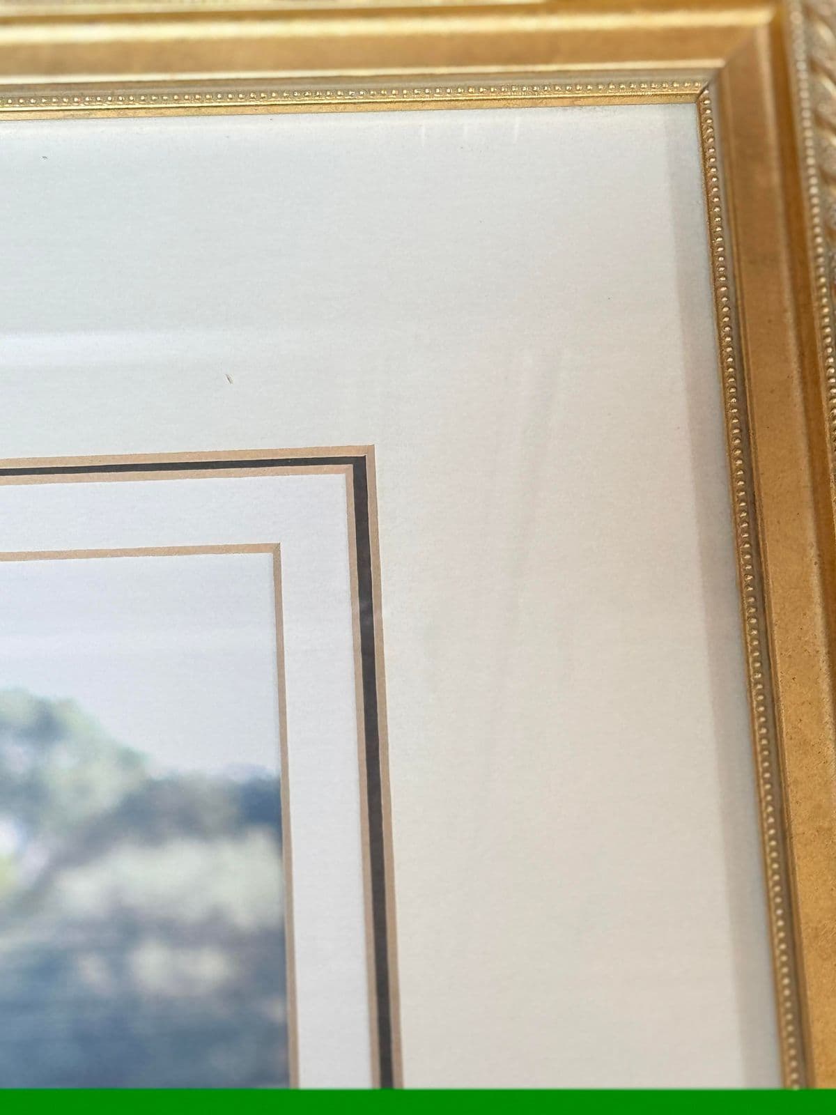 Custom Framed Blue Iris Photograph - Thumbnail 4