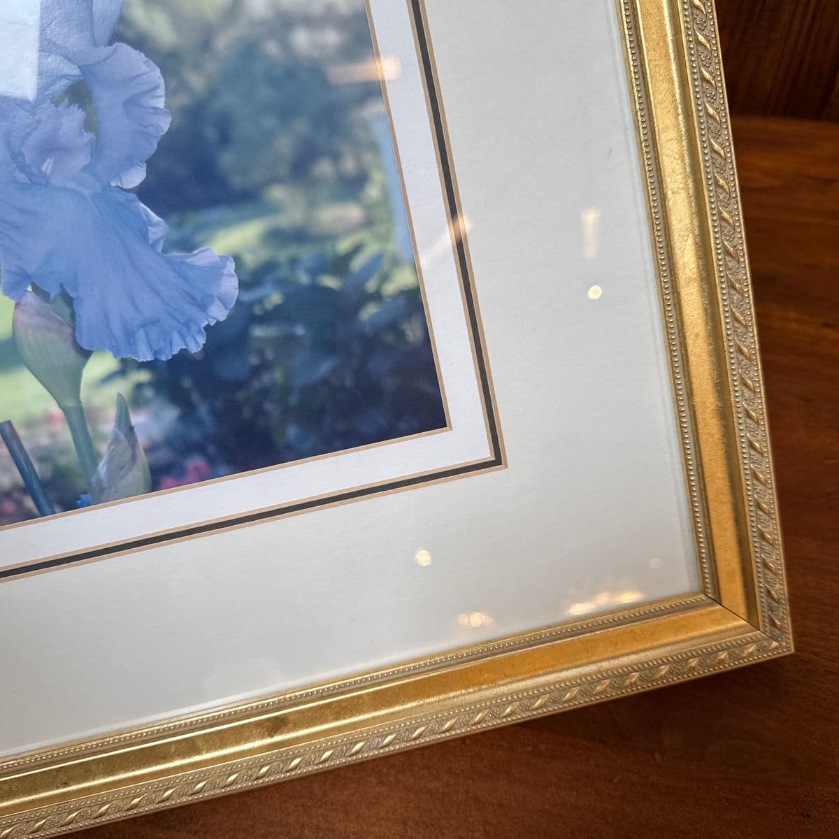 Custom Framed Blue Iris Photograph - Thumbnail 11