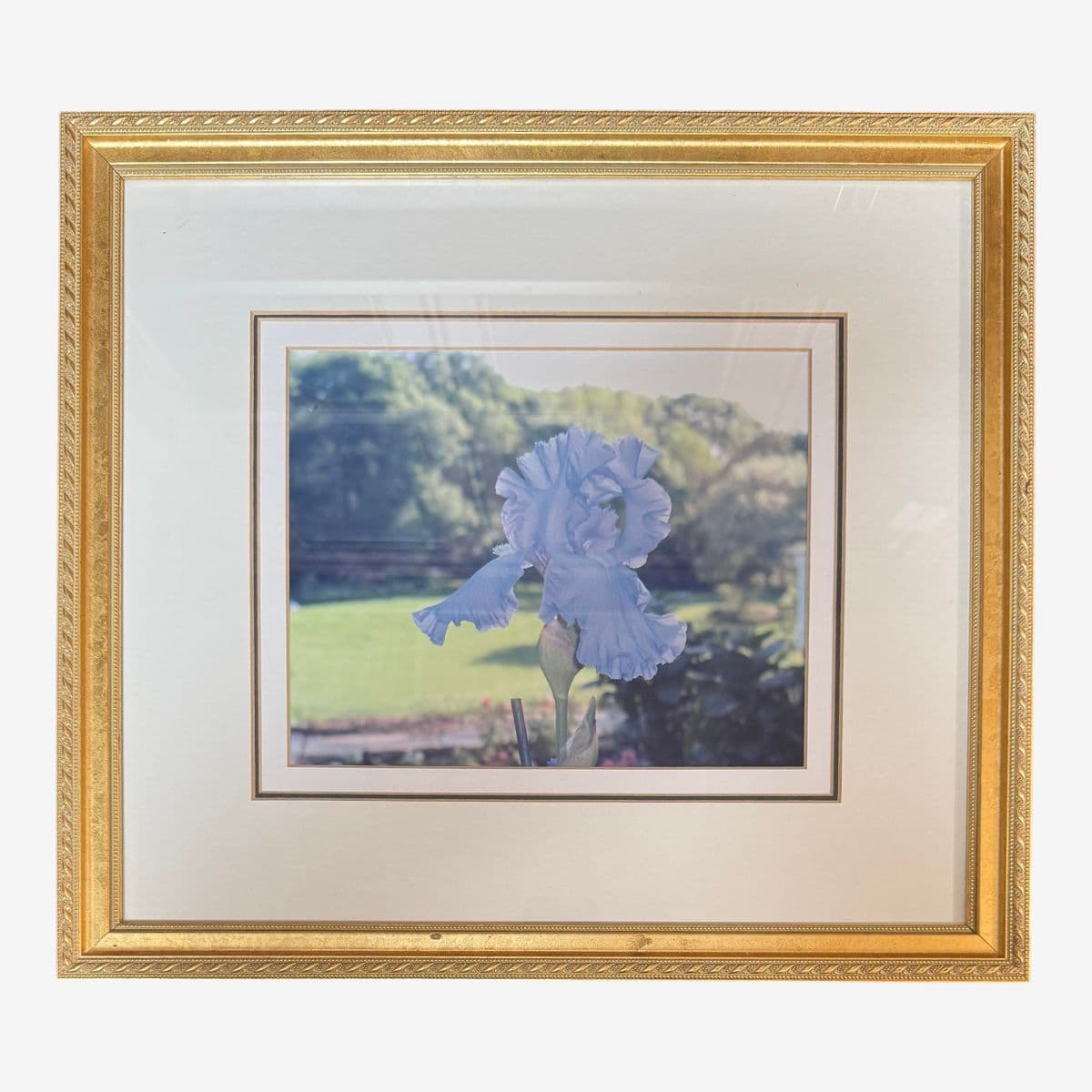 Custom Framed Blue Iris Photograph - Image 1