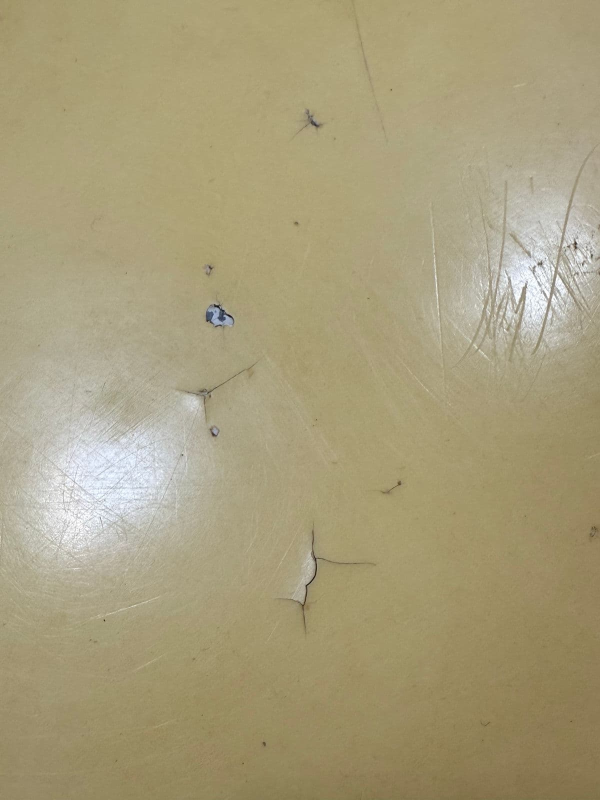 Mid 20th Century Palm Beach Style Table + Four Chairs, Set - Thumbnail 8