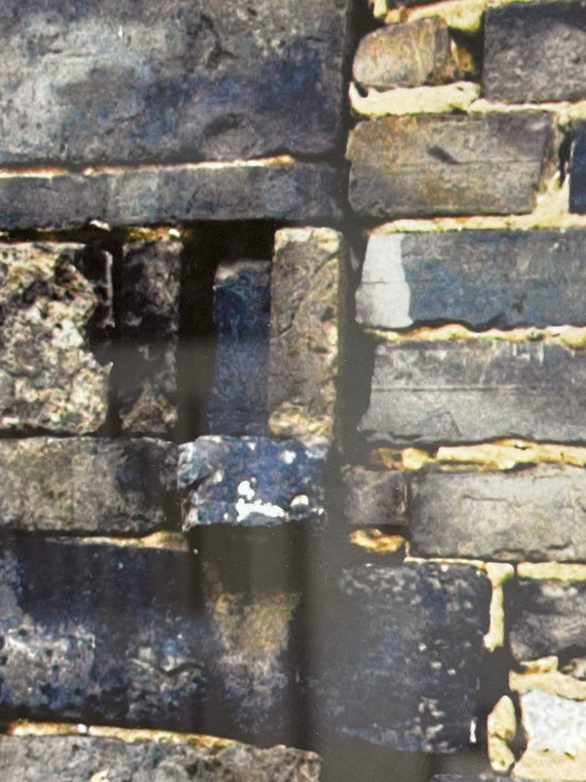 Circa 2006 Ravi Anand "Free Advertising Guanei, China" Photograph, Numbered + Framed - Thumbnail 6