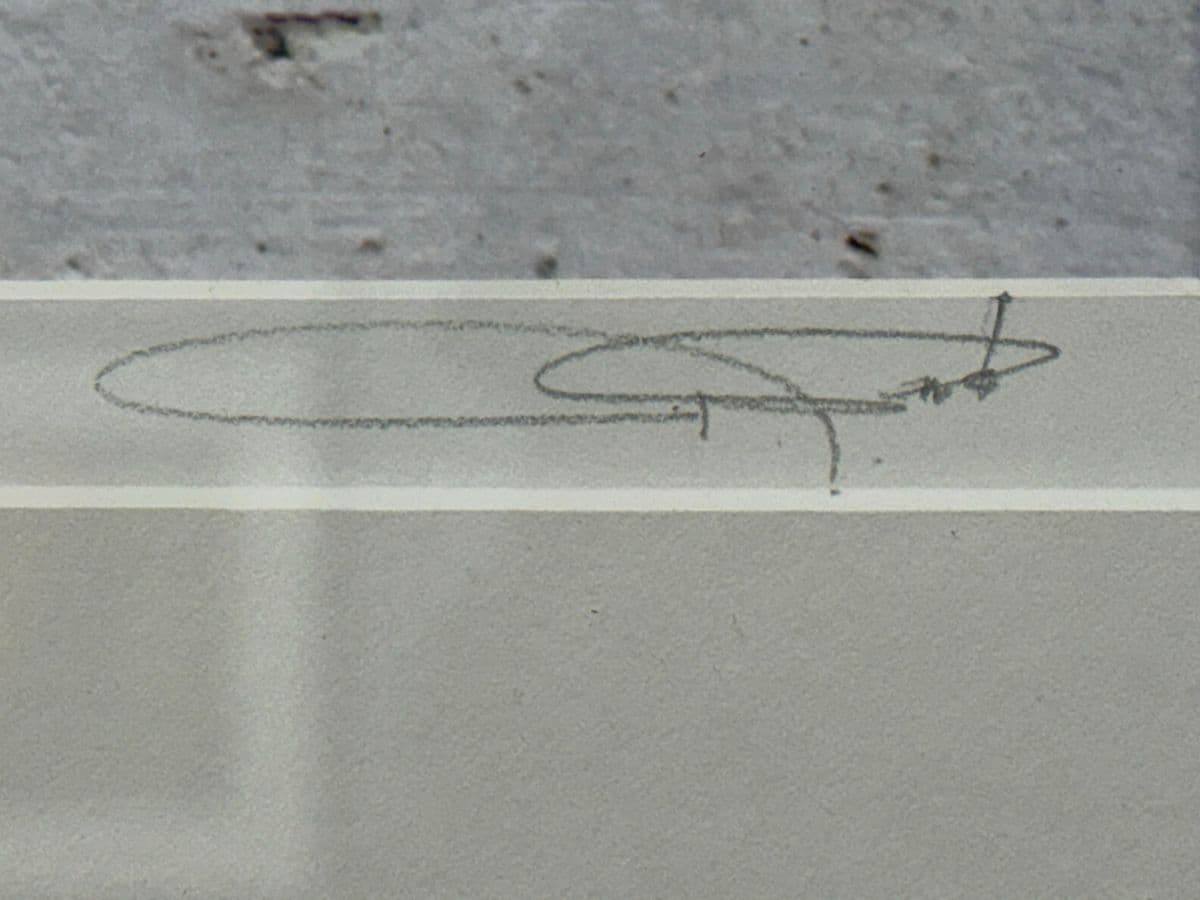 Circa 2006 Ravi Anand "Free Advertising Guanei, China" Photograph, Numbered + Framed - Thumbnail 12