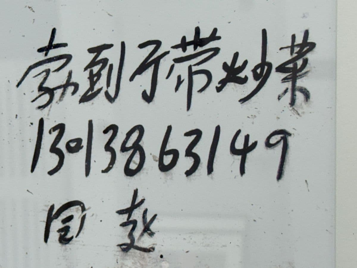 Circa 2006 Ravi Anand "Free Advertising Guanei, China" Photograph, Numbered + Framed - Thumbnail 5