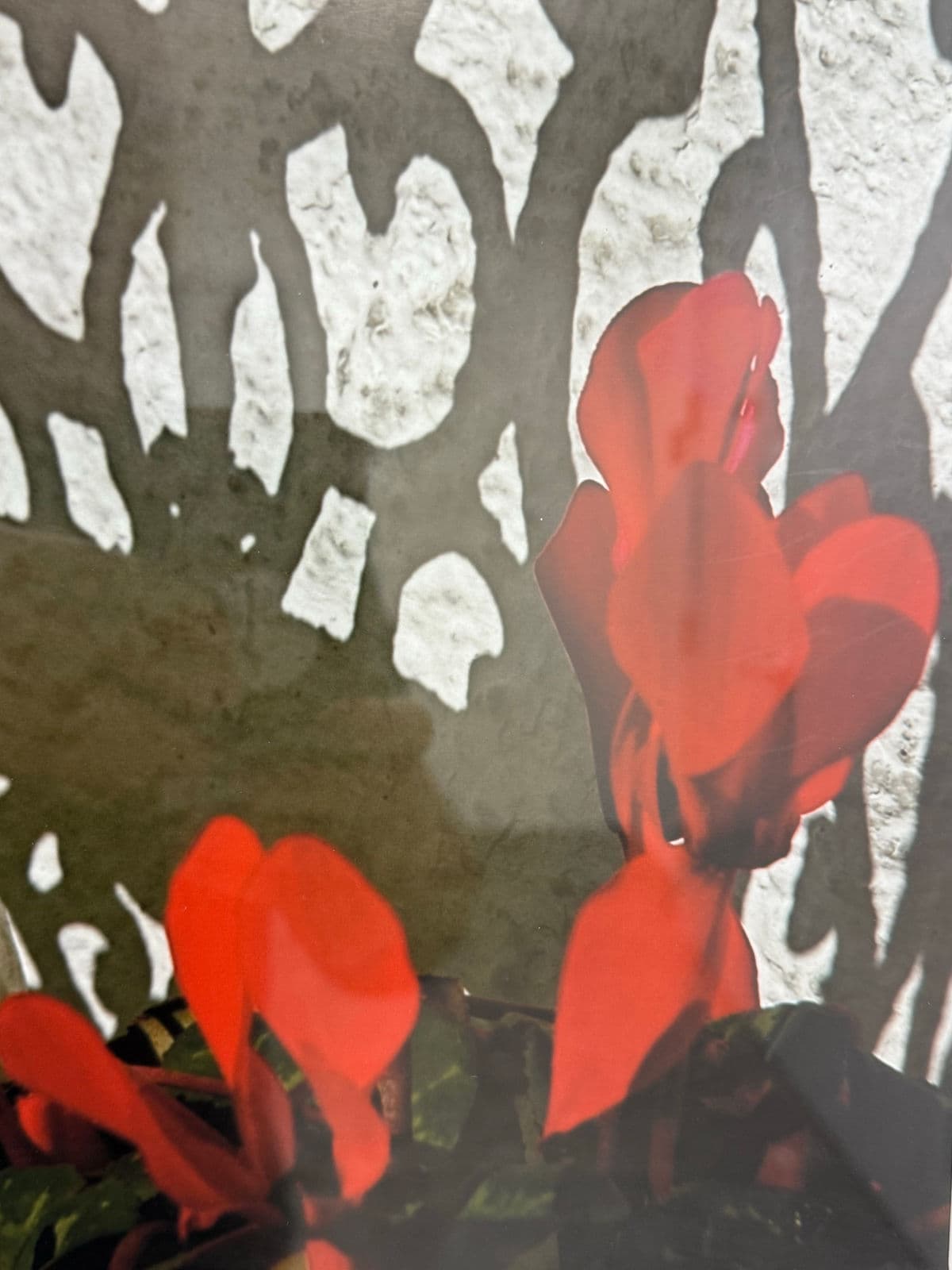 Circa 2005 Ravi Anand "Garden Bench, Sausalito" Framed Photograph Edition 11 of 15 - Thumbnail 9