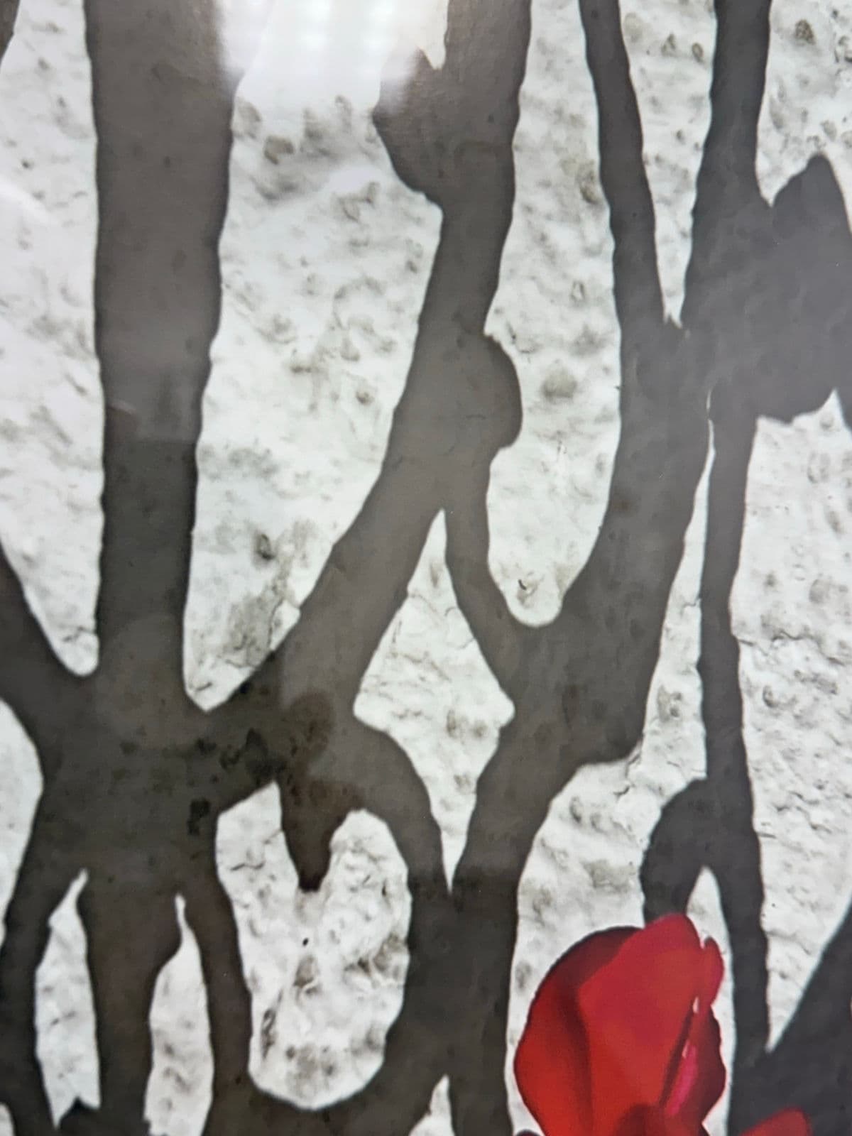 Circa 2005 Ravi Anand "Garden Bench, Sausalito" Framed Photograph Edition 11 of 15 - Thumbnail 6