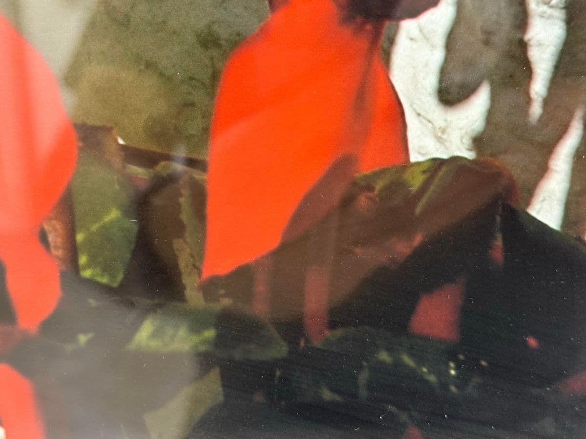 Circa 2005 Ravi Anand "Garden Bench, Sausalito" Framed Photograph Edition 11 of 15 - Thumbnail 8