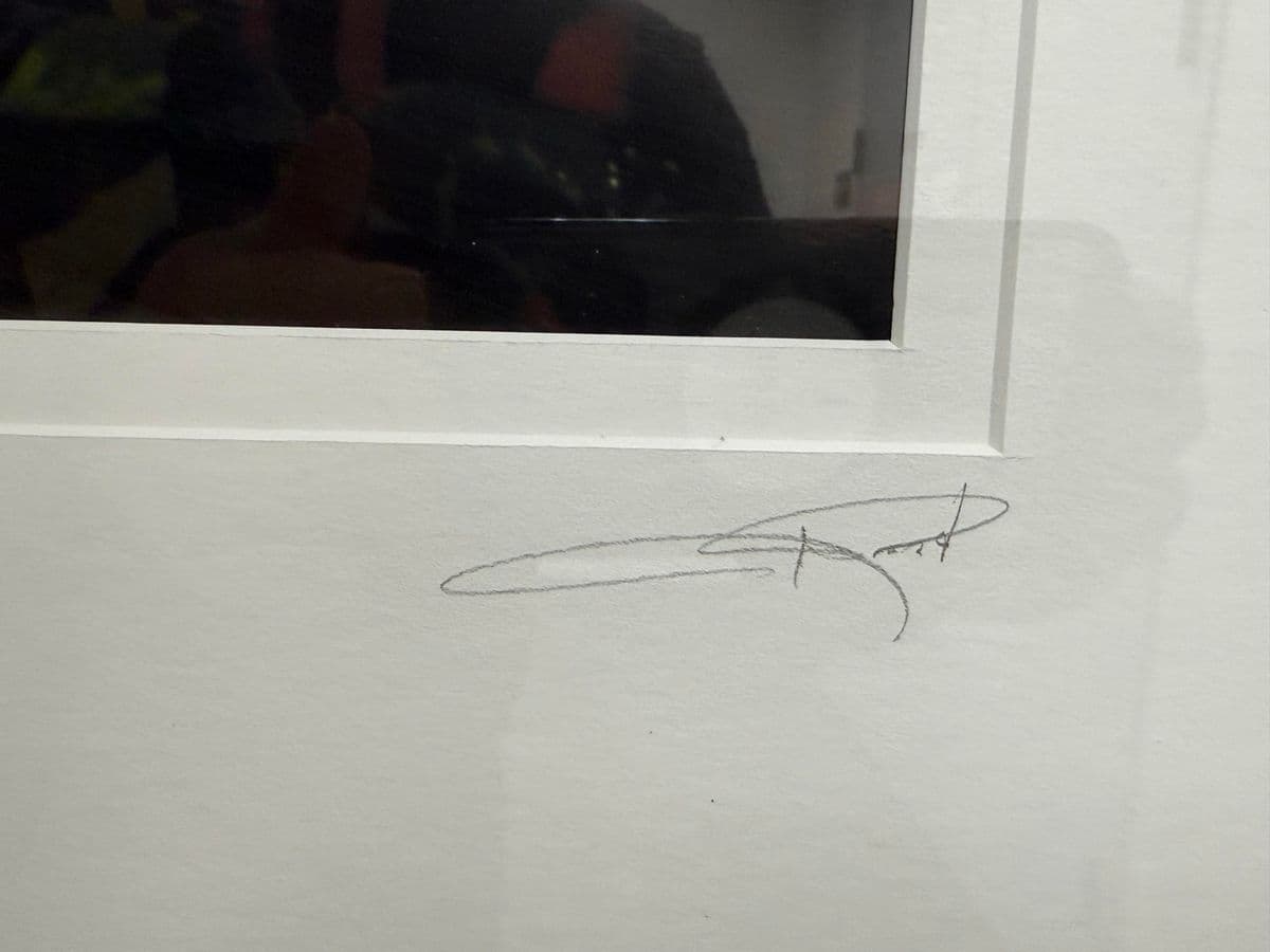 Circa 2005 Ravi Anand "Garden Bench, Sausalito" Framed Photograph Edition 11 of 15 - Thumbnail 12