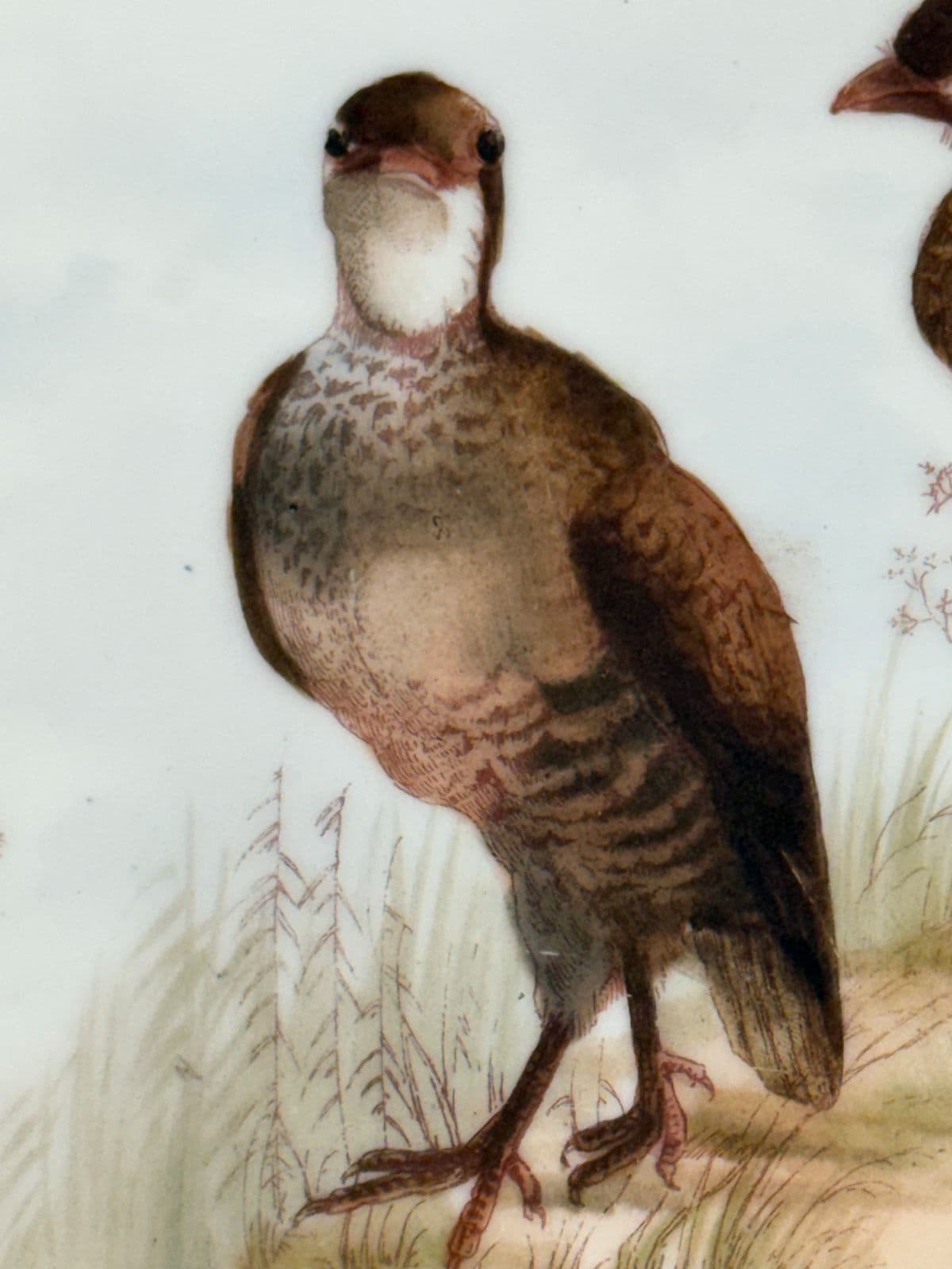 Charles Field Haviland Limoges Porcelain Platter - Thumbnail 5