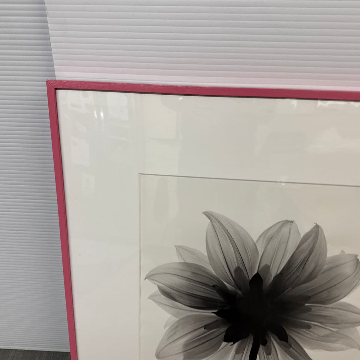 Circa 2004 Stefano Massei "Daisy" B/W Photograph, Framed - Thumbnail 12