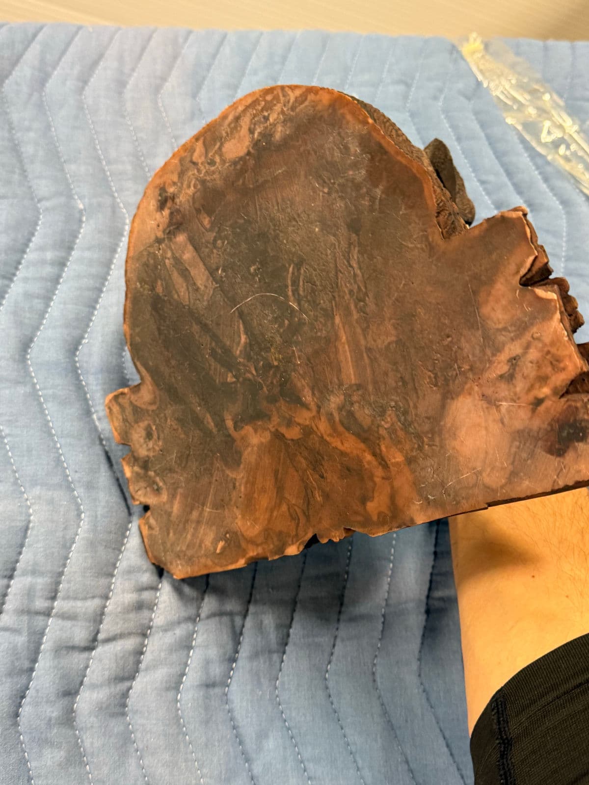 Circa 1860 Walnut Black Forest Dog Tobacco Box - Thumbnail 11