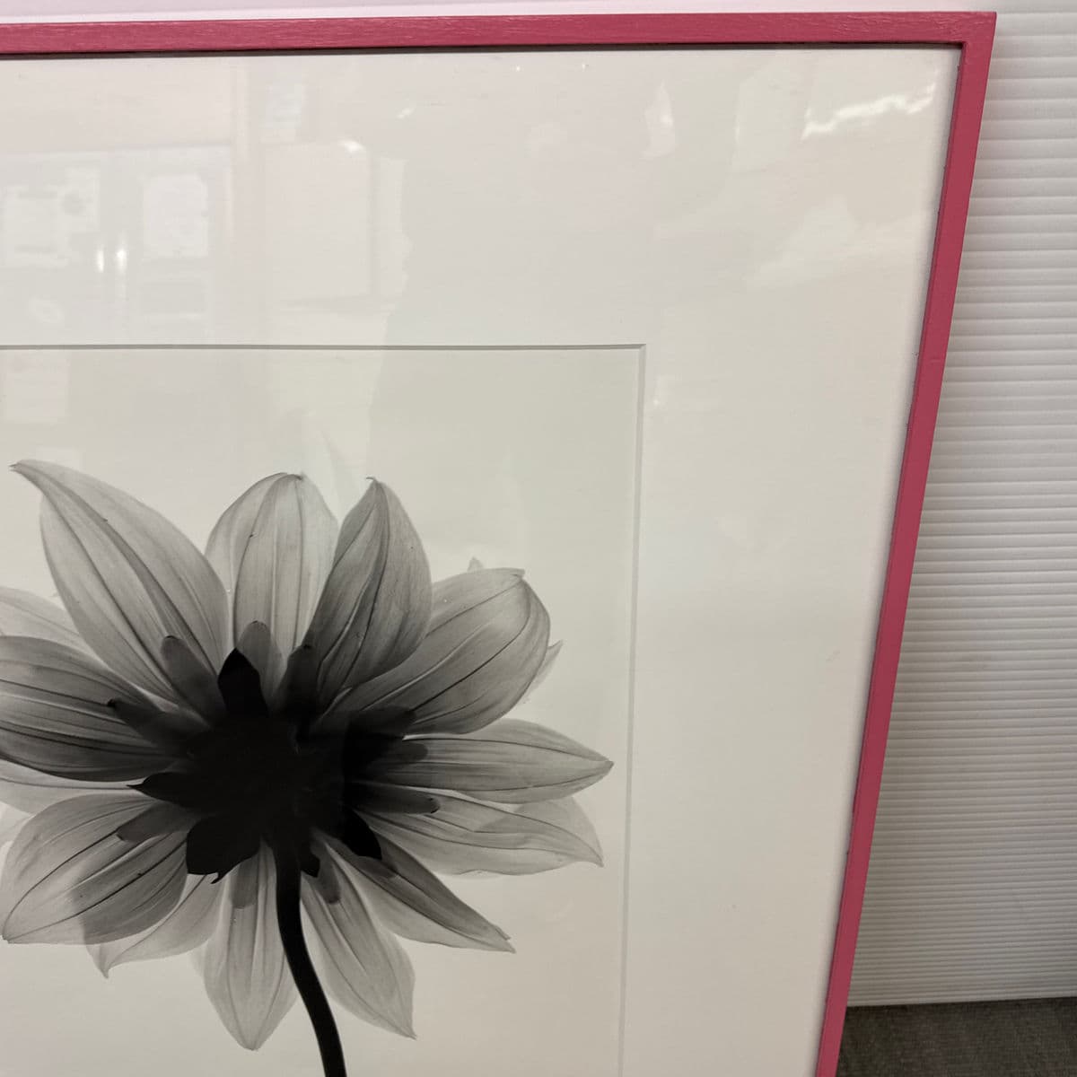 Circa 2004 Stefano Massei "Daisy" B/W Photograph, Framed - Thumbnail 13