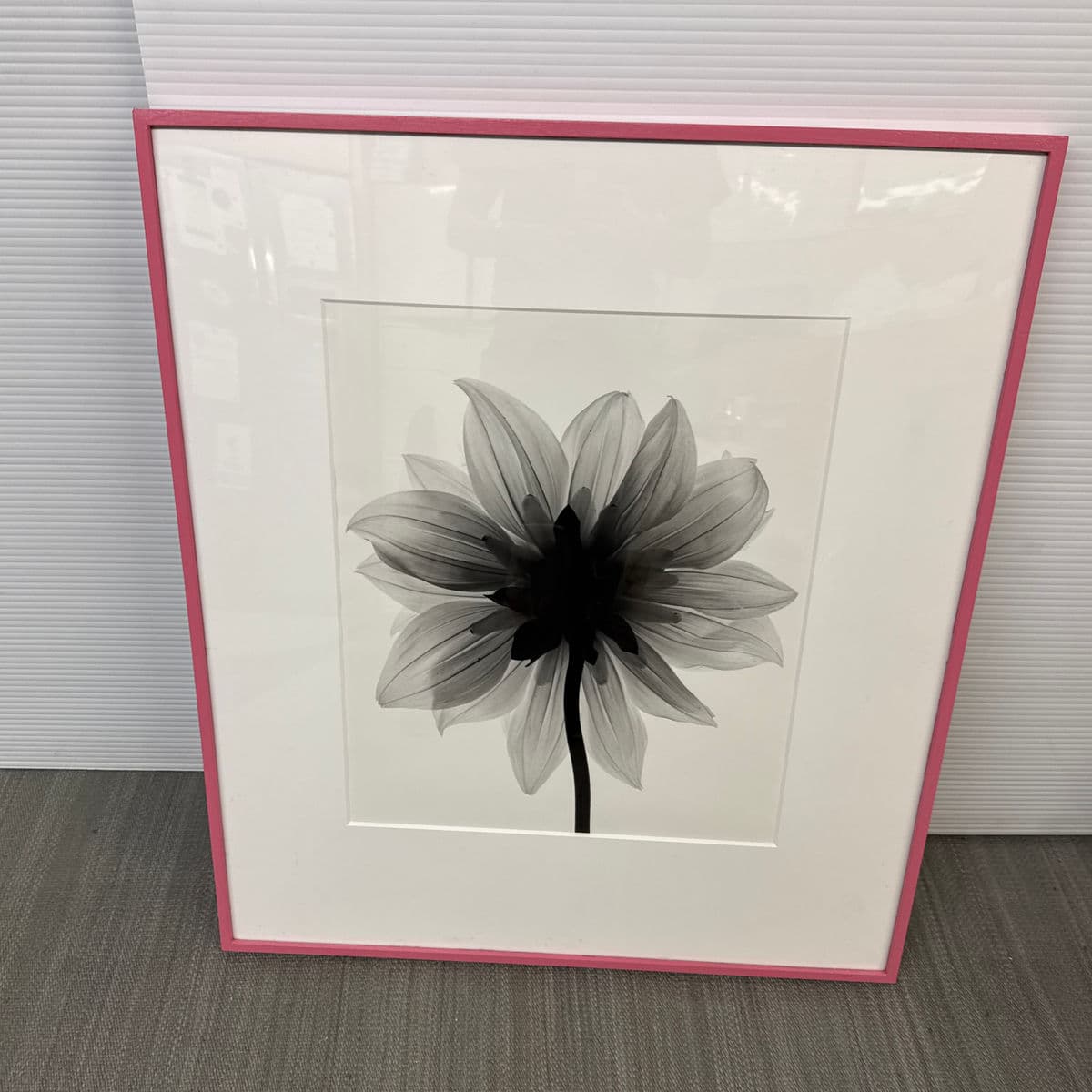 Circa 2004 Stefano Massei "Daisy" B/W Photograph, Framed - Thumbnail 11