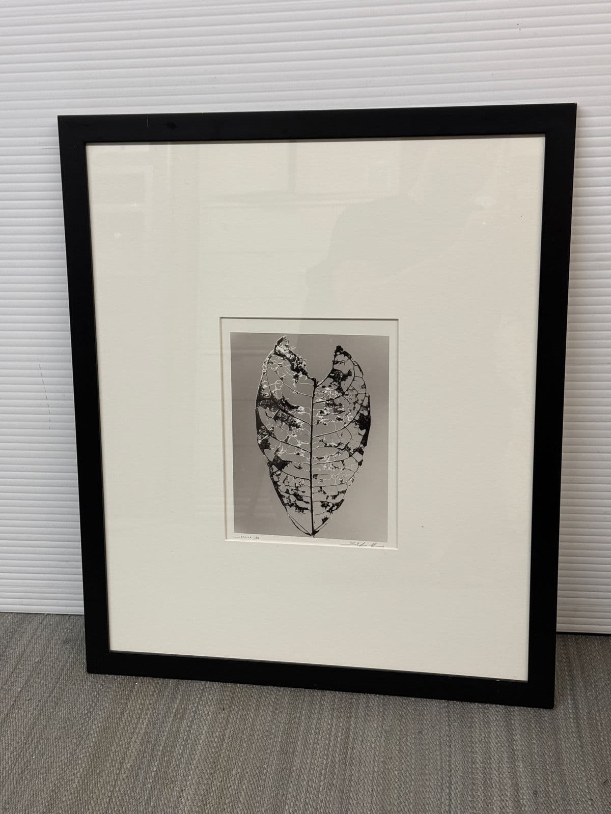 Circa 1992 Stefano Massei's "Jamaica" Leaf, Print - Thumbnail 3
