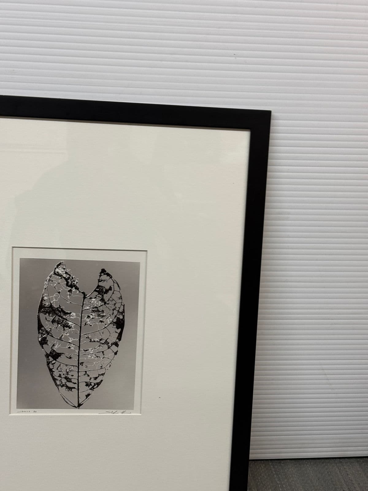Circa 1992 Stefano Massei's "Jamaica" Leaf, Print - Thumbnail 9