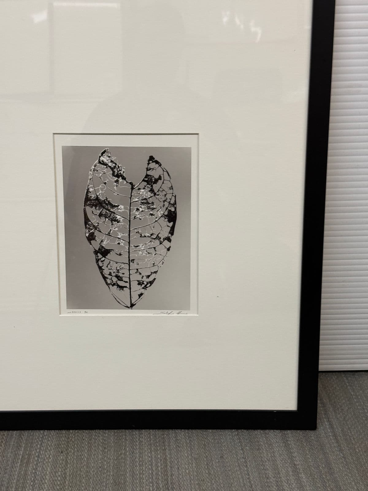 Circa 1992 Stefano Massei's "Jamaica" Leaf, Print - Thumbnail 8