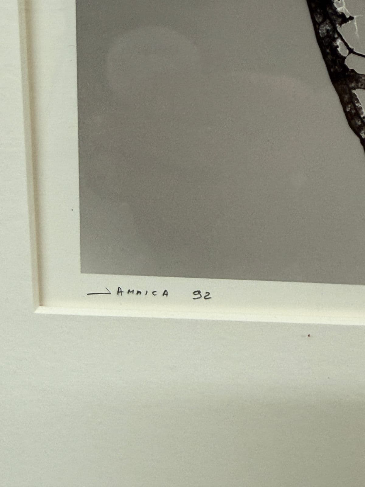 Circa 1992 Stefano Massei's "Jamaica" Leaf, Print - Thumbnail 4