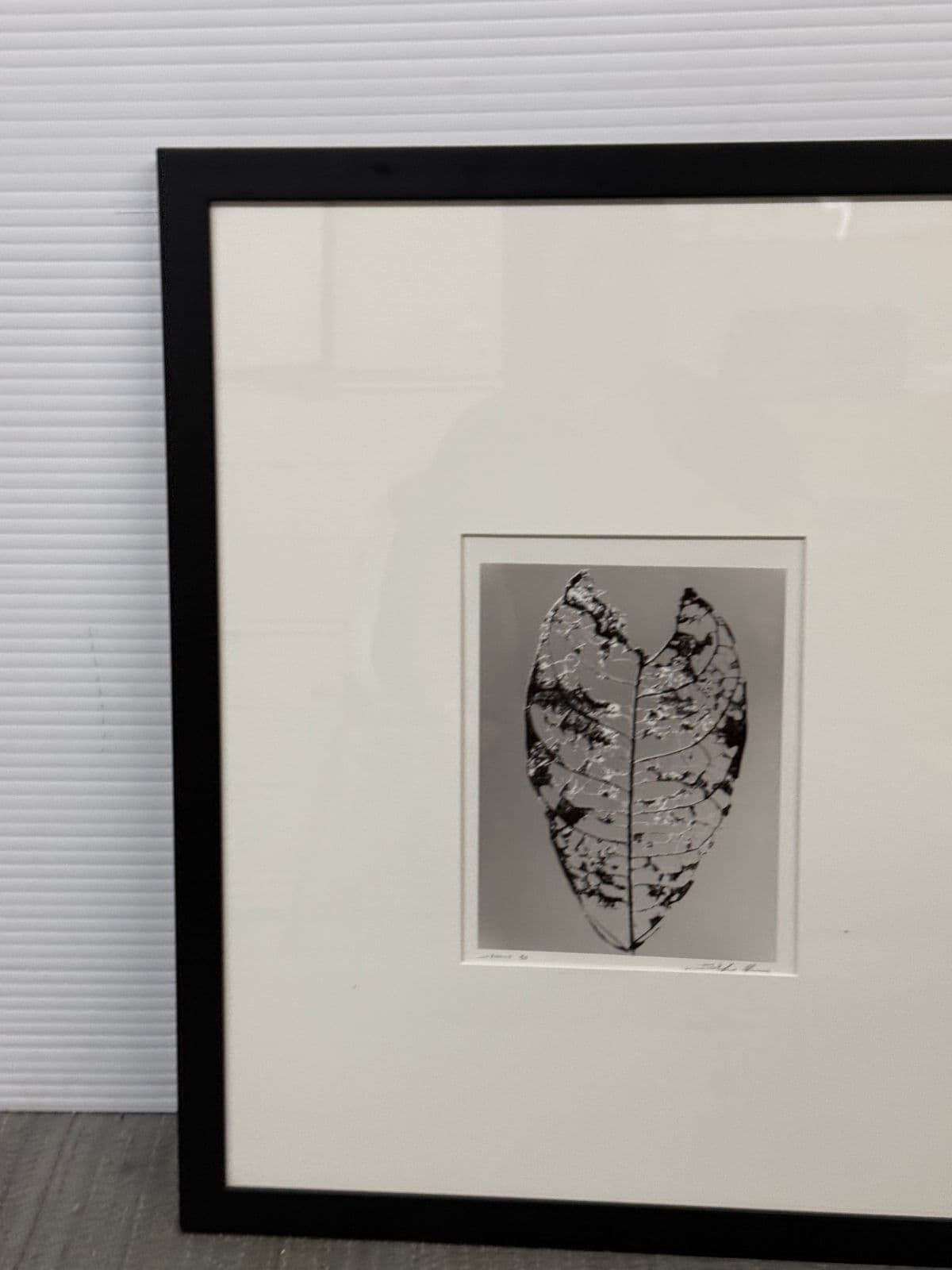 Circa 1992 Stefano Massei's "Jamaica" Leaf, Print - Thumbnail 7