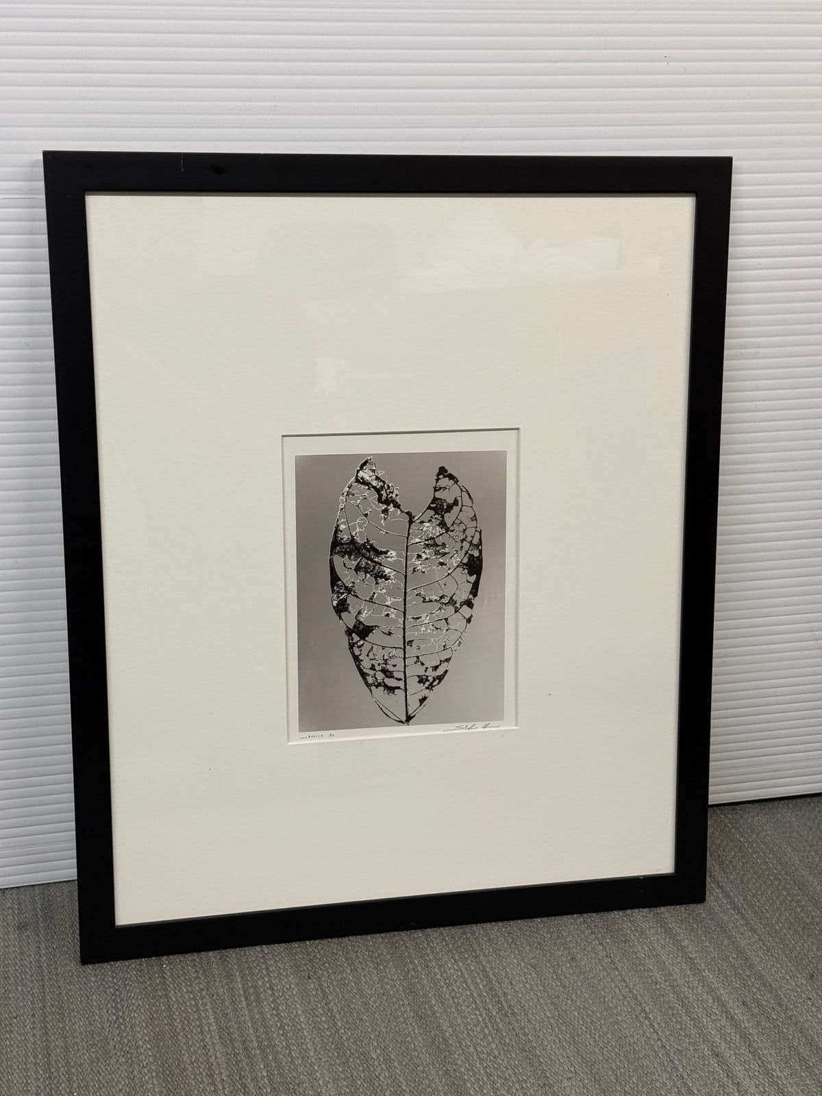 Circa 1992 Stefano Massei's "Jamaica" Leaf, Print - Thumbnail 10